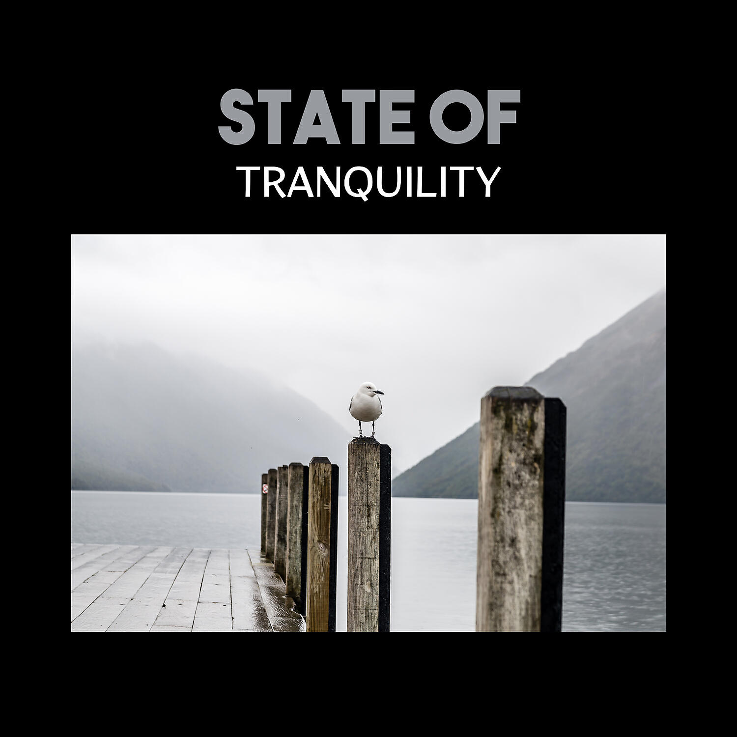 Positive Energy Academy - Create Stability