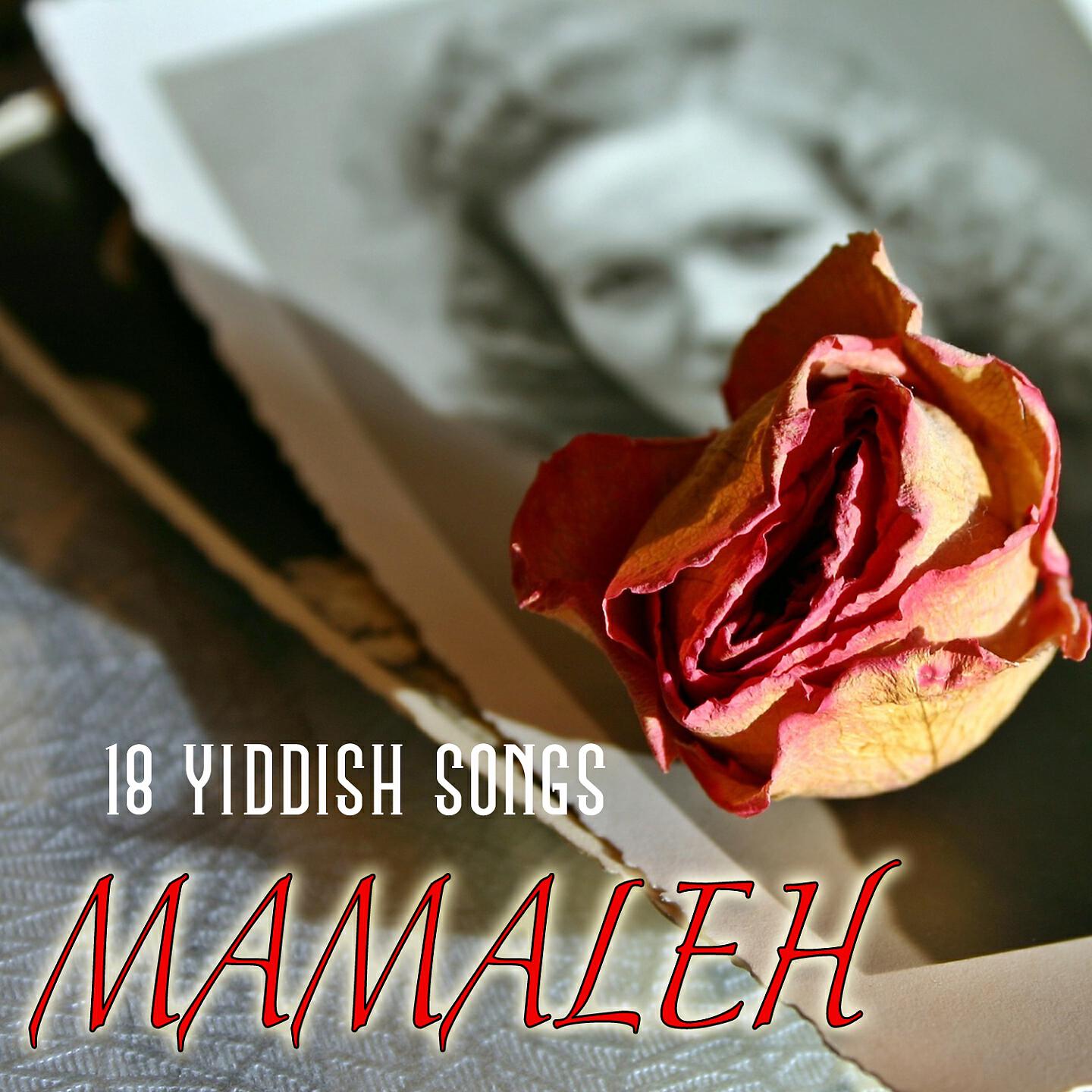 Yaacov Shapiro - Mashiach Kimt