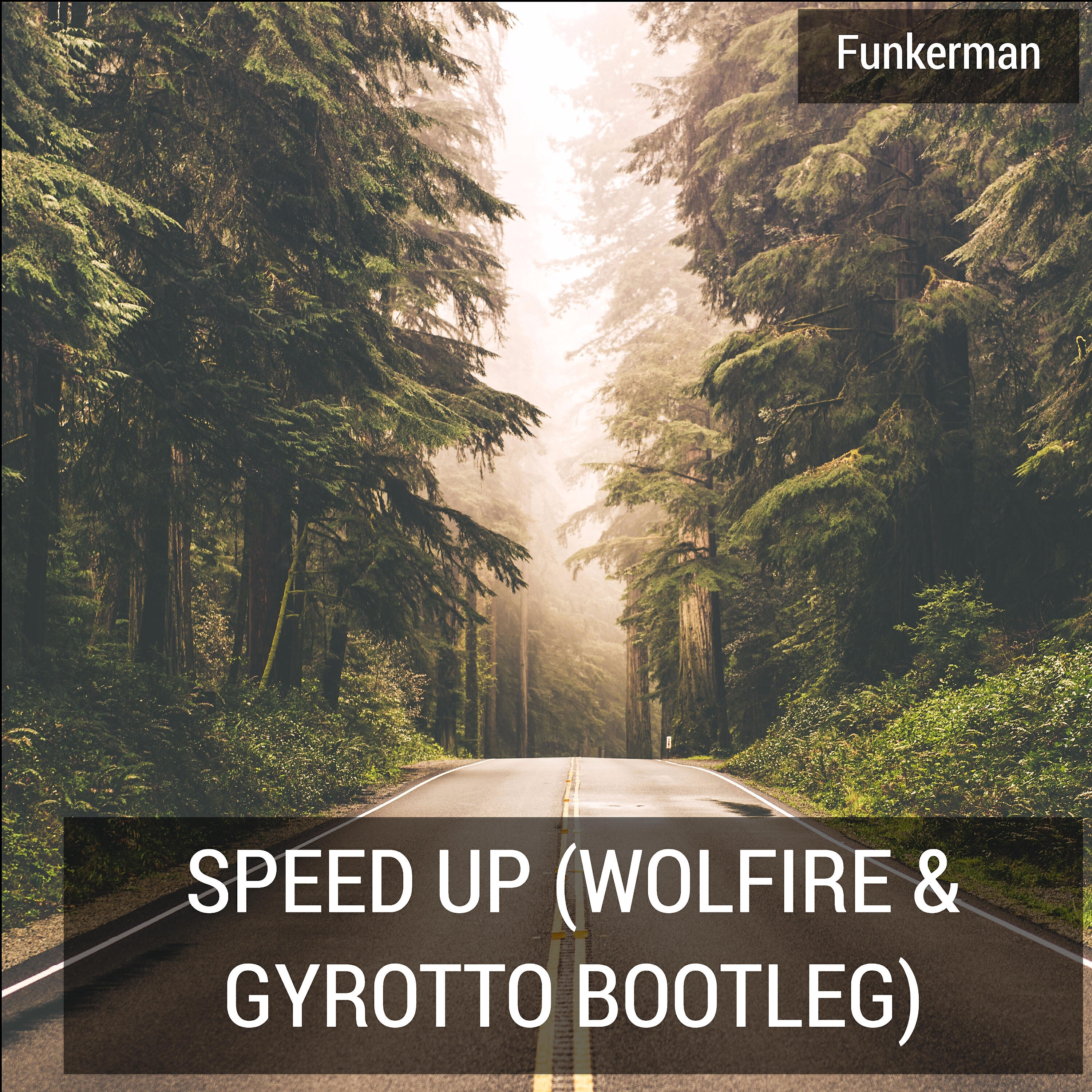 Funkerman - Speed Up (Wolfire and Gyrotto Bootleg)