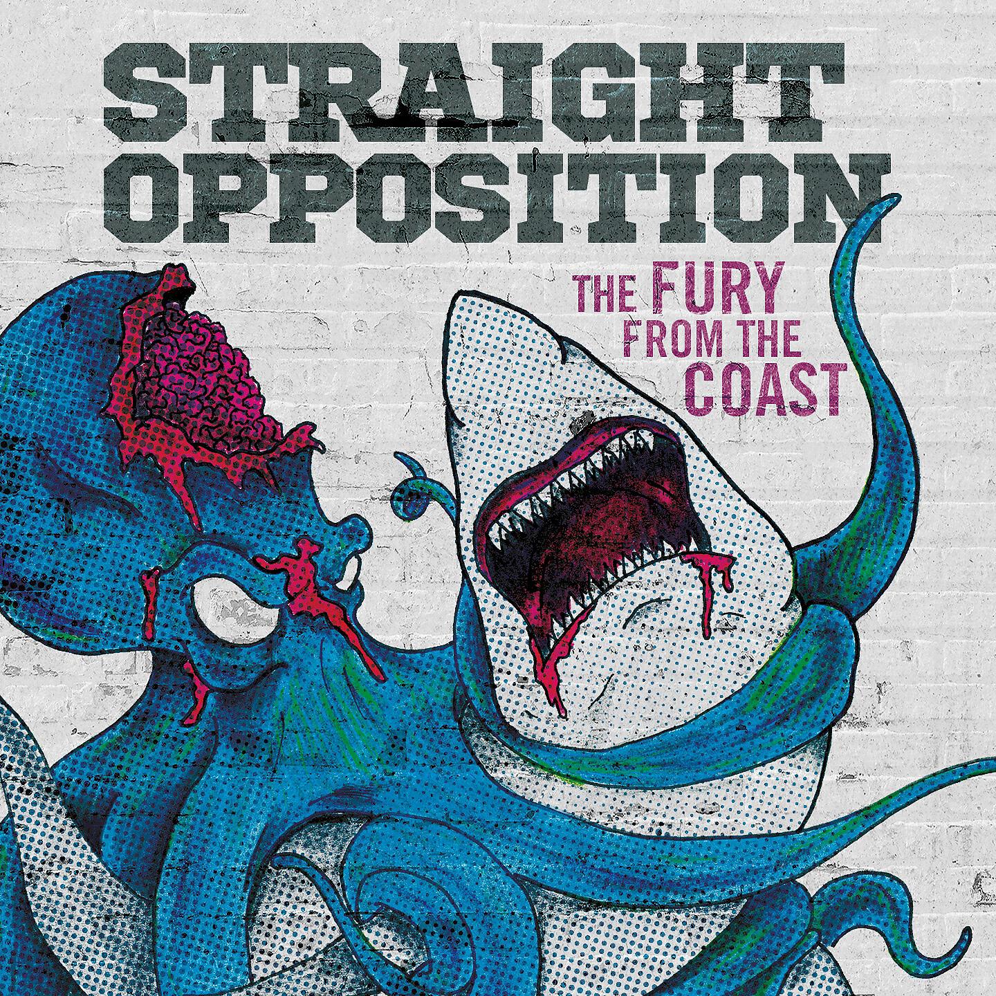 Straight Opposition - So Cynic ∙ Last Winter