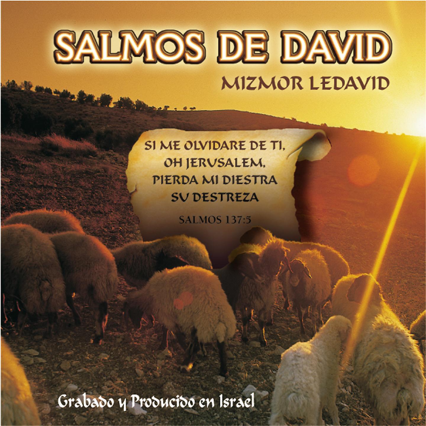 Постер альбома Salmos De David