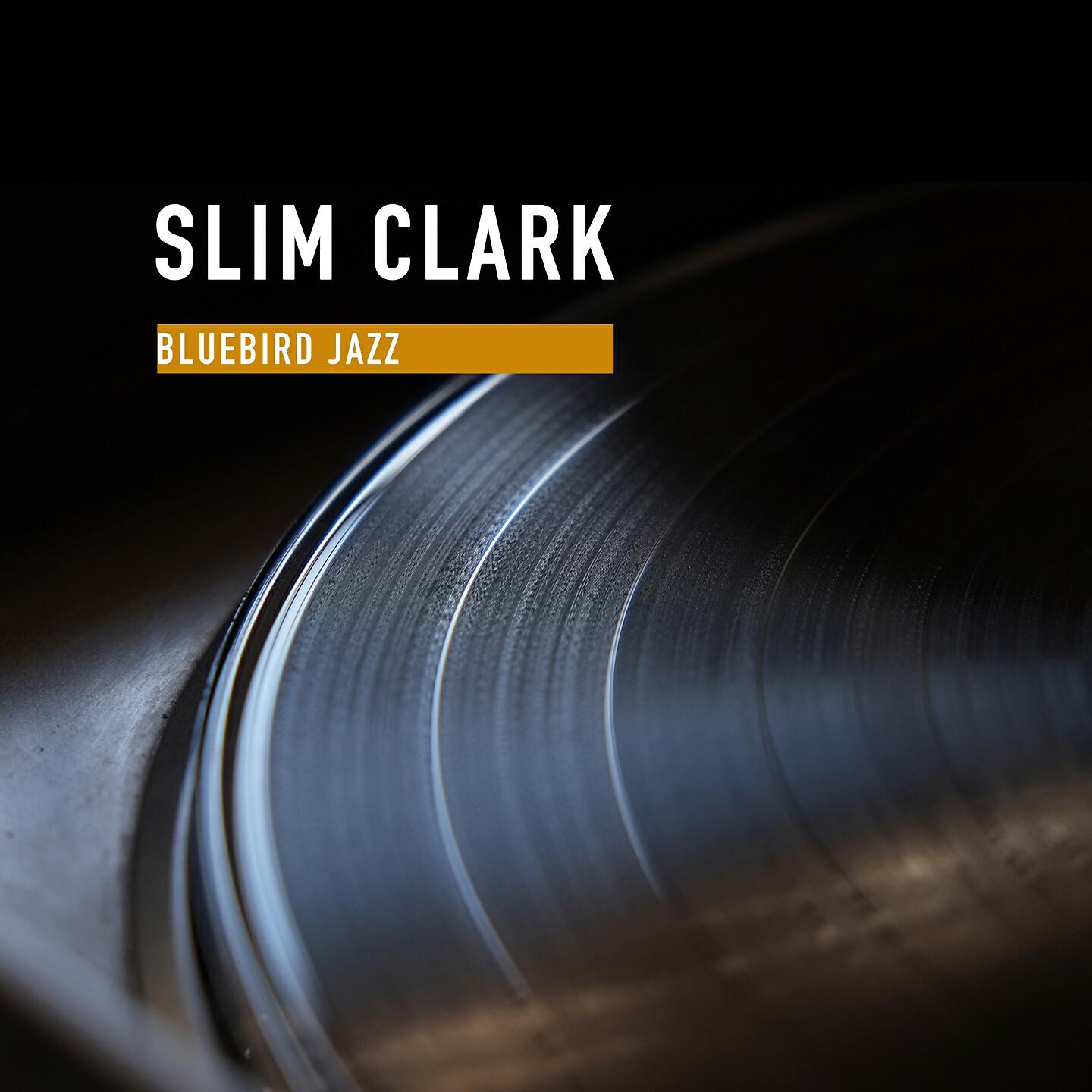 Slim Clark - The Swiss Yodeling Cowboy