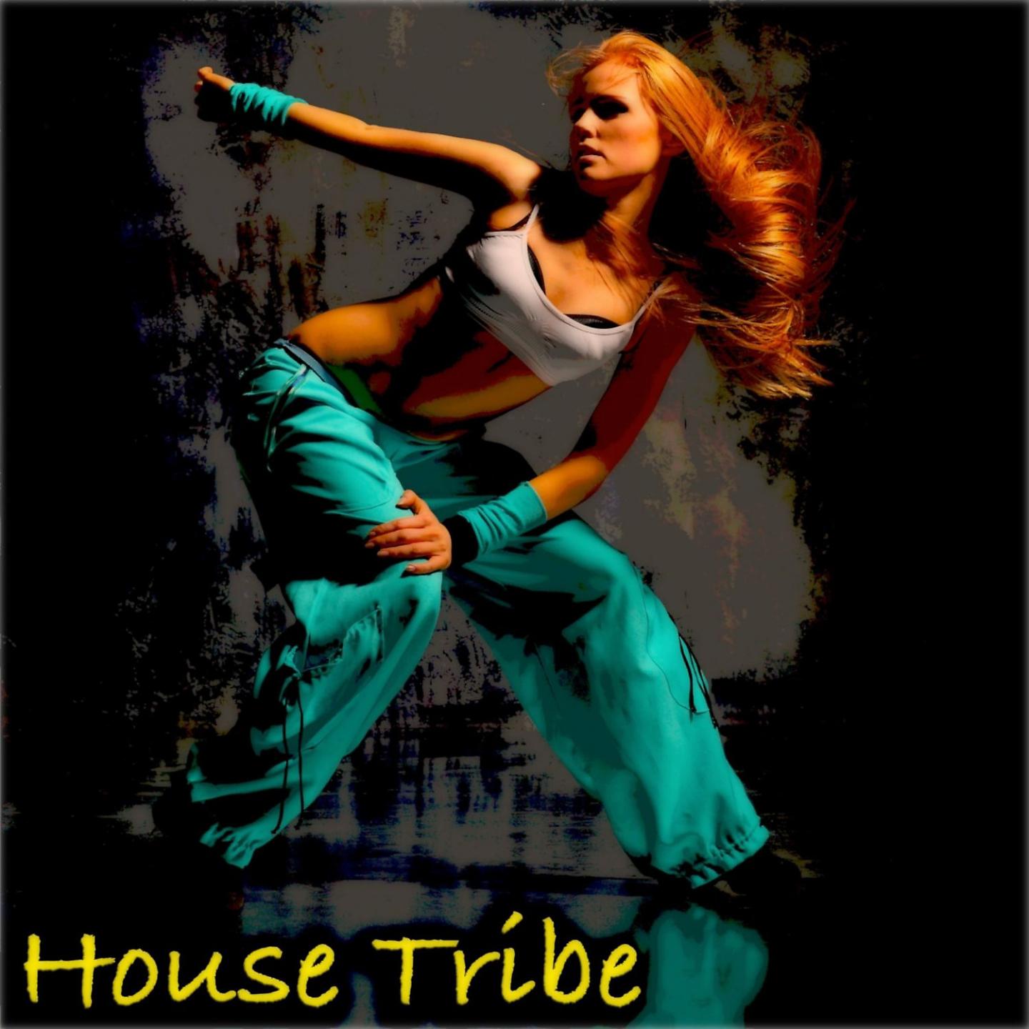 Постер альбома House Tribe