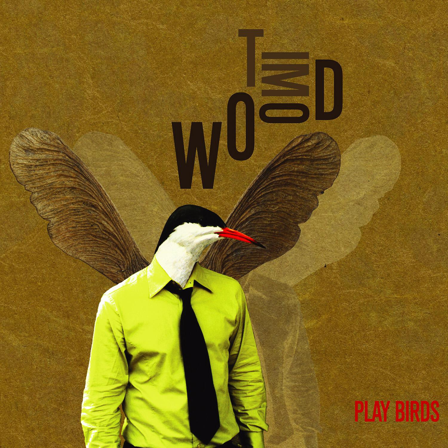 Tim Wood - Birdy Nam Nam