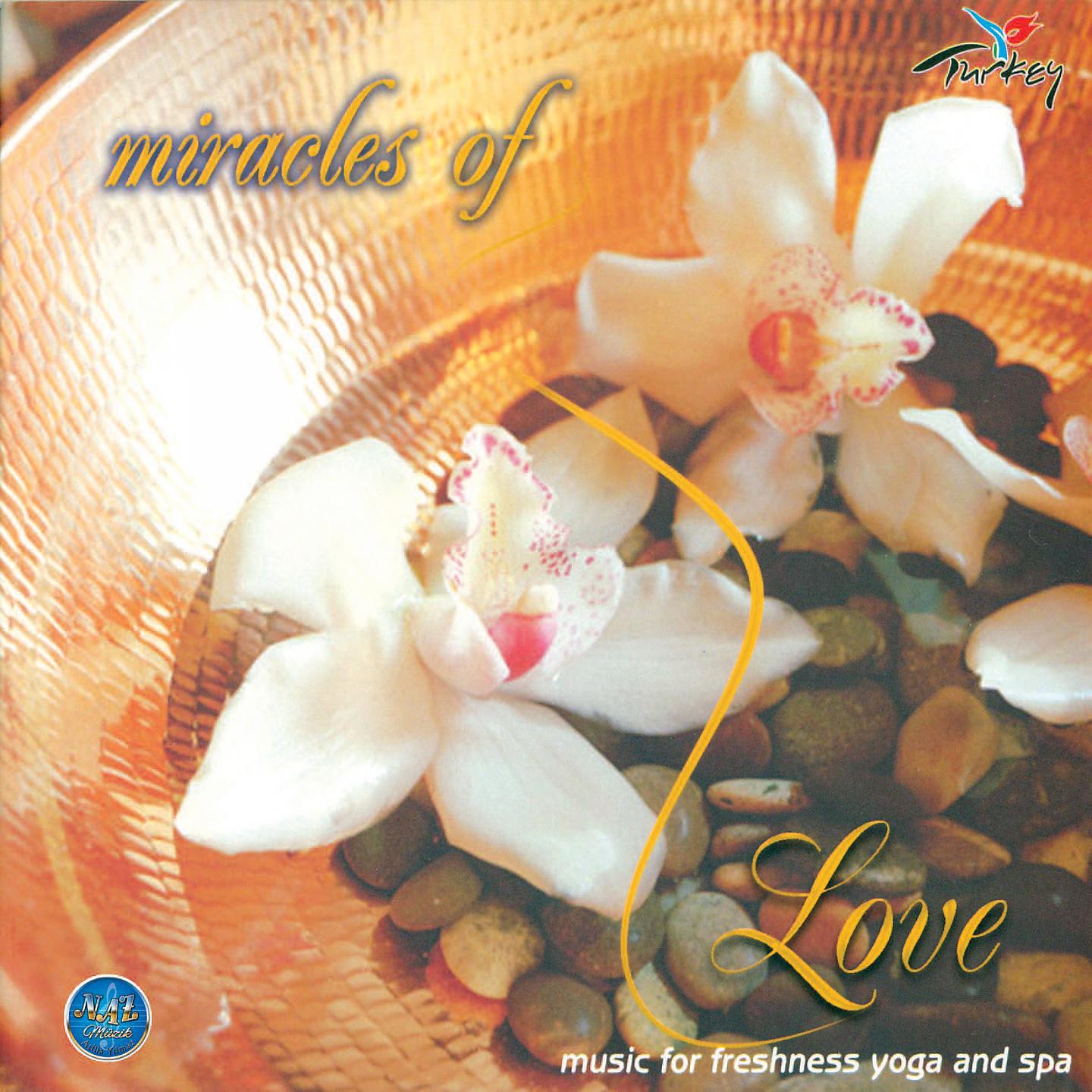 Постер альбома Miracles of Love