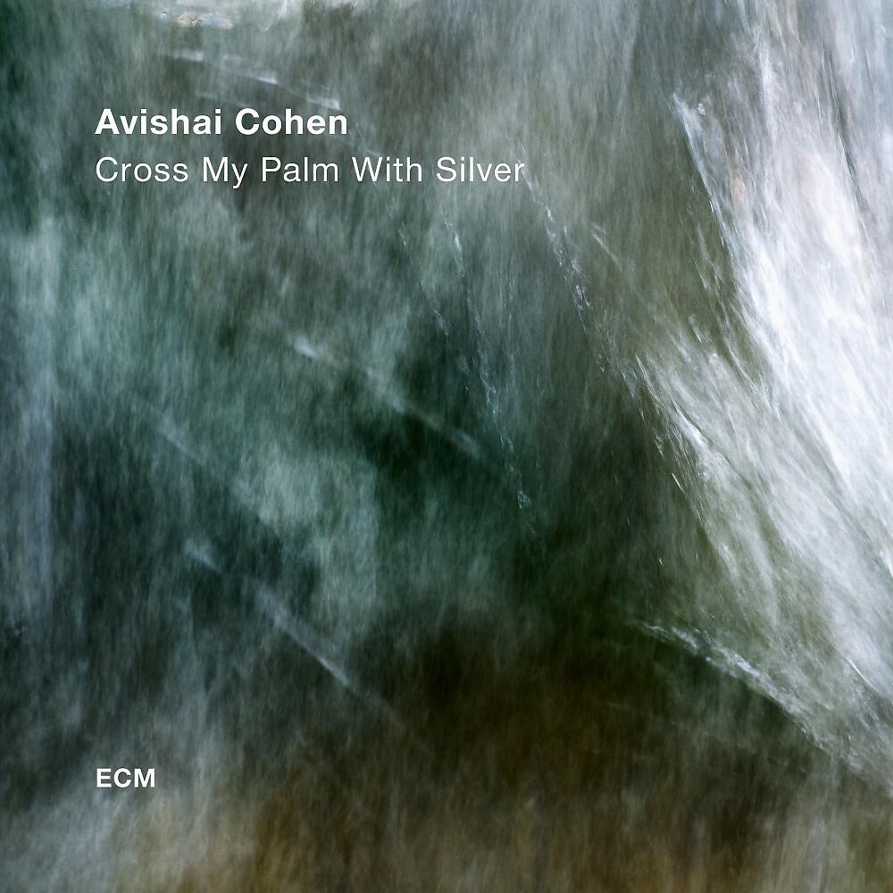 Avishai Cohen - 340 Down