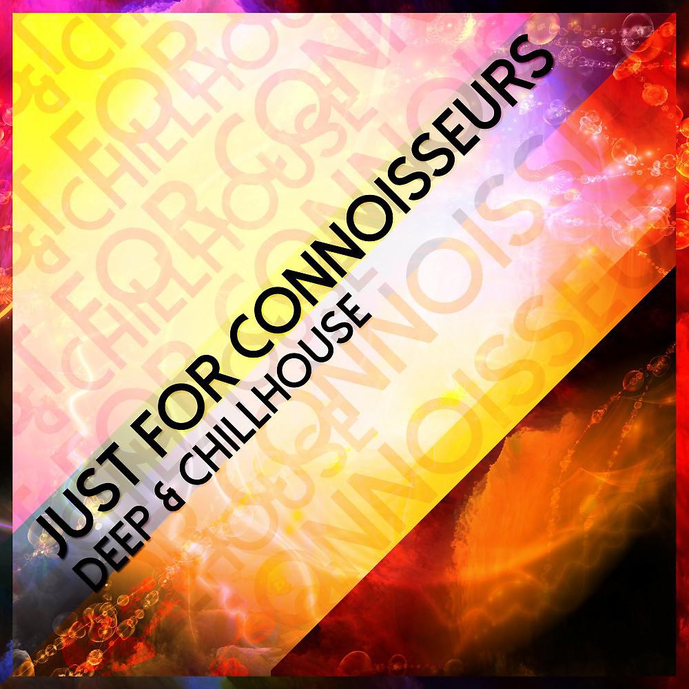Постер альбома Just for Connoisseurs - Deep & Chillhouse