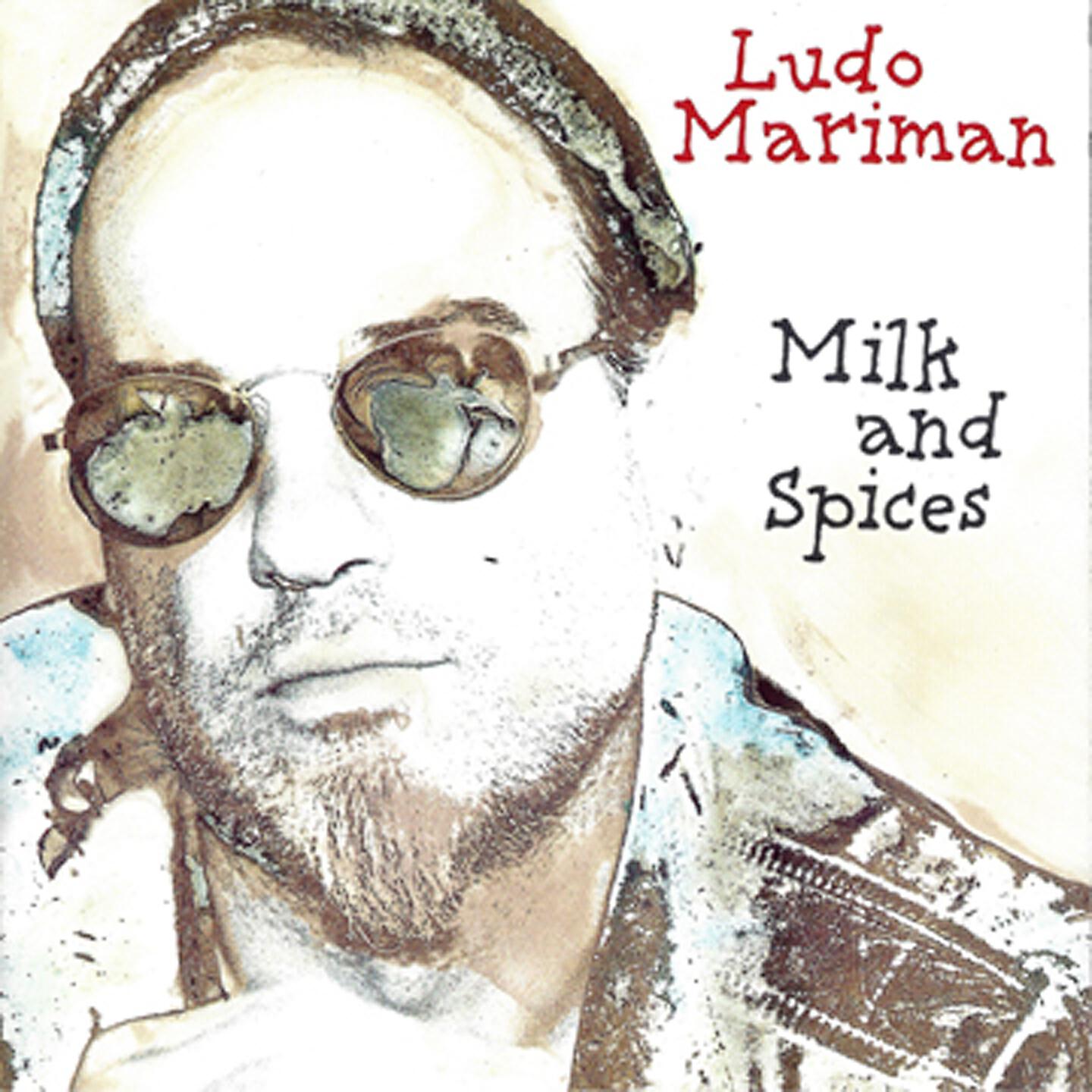 Ludo Mariman - Time for the Healing