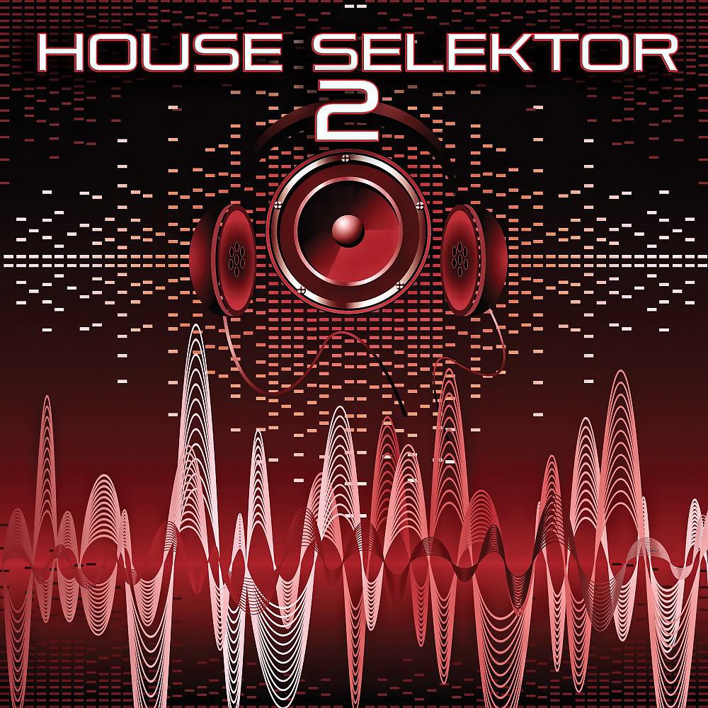 Постер альбома House Selektor, Vol. 2
