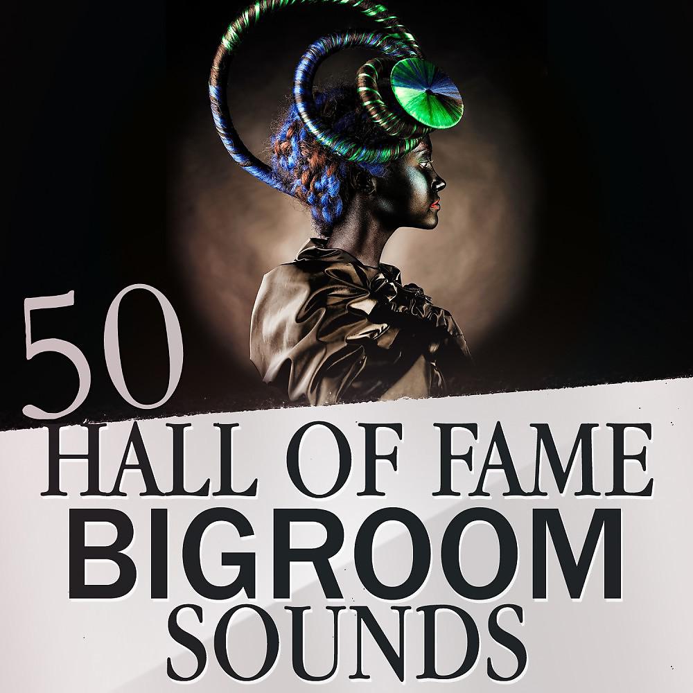 Постер альбома 50 Hall of Fame Bigroom Sounds