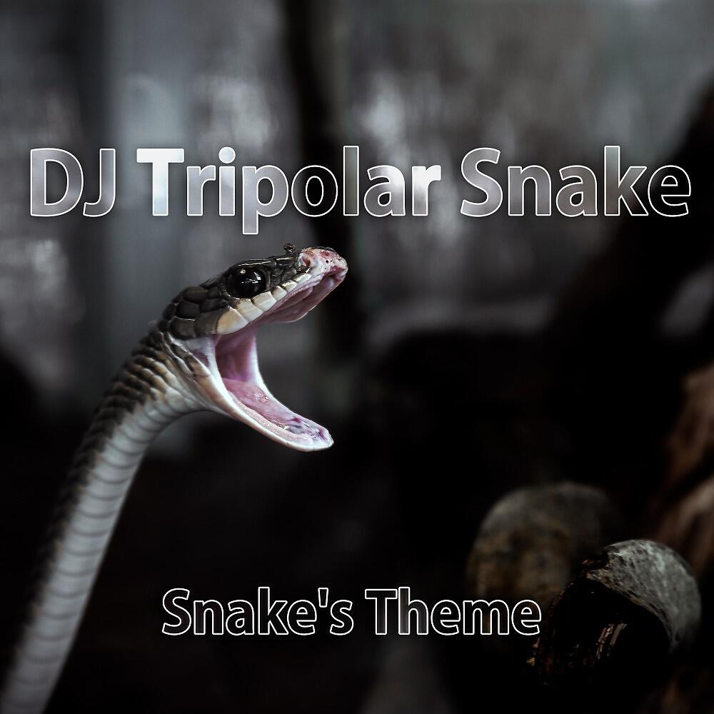 DJ Tripolar Snake - Final Fight (Hip Hop Instrumental Mix)