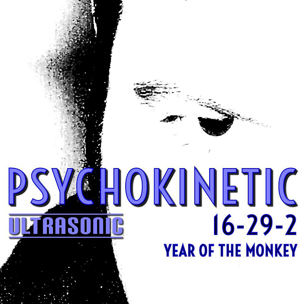 Постер альбома 16-29-2 Year of the Monkey