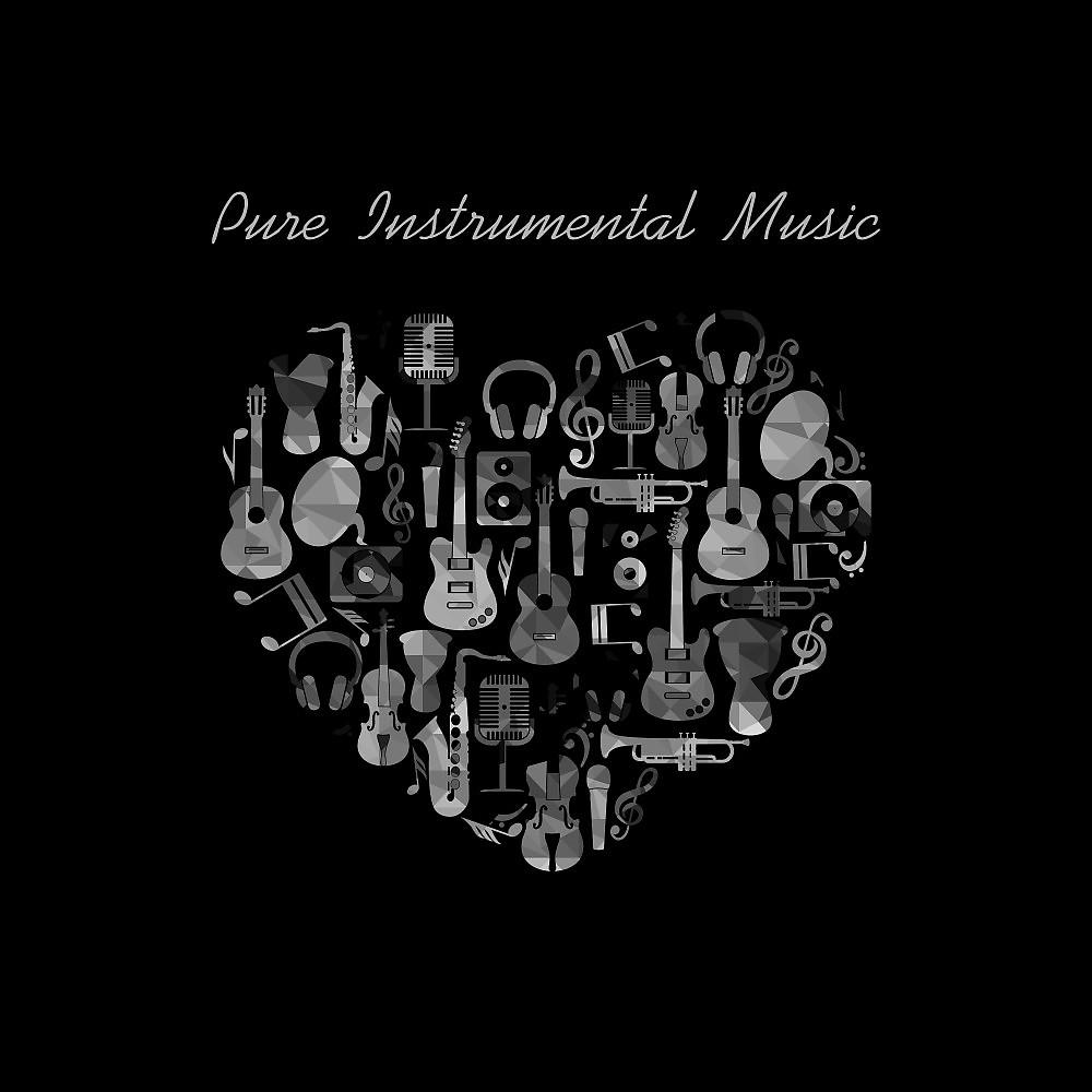 Постер альбома Pure Instrumental Music