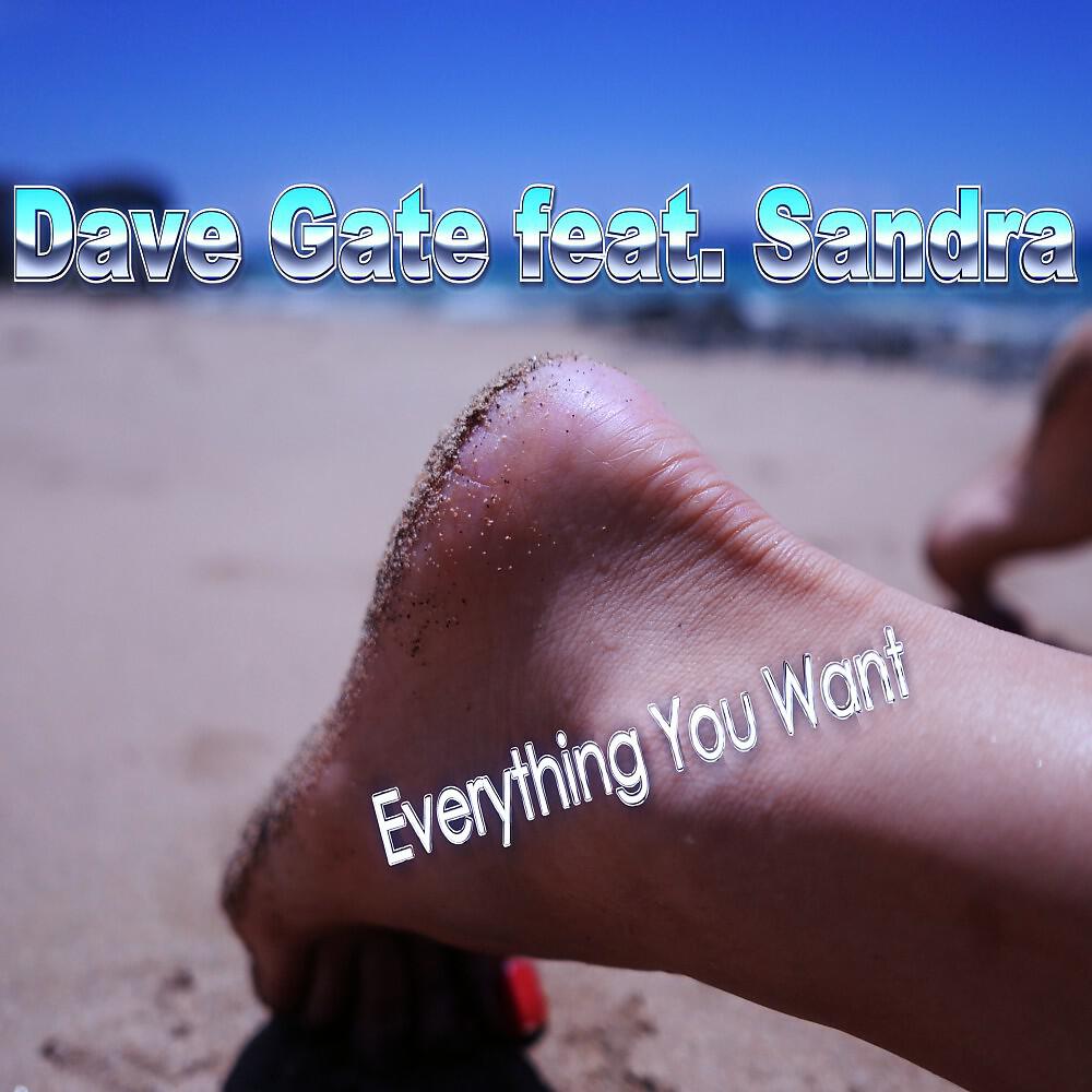 Dave Gate - Everything You Want (Extended Mix)