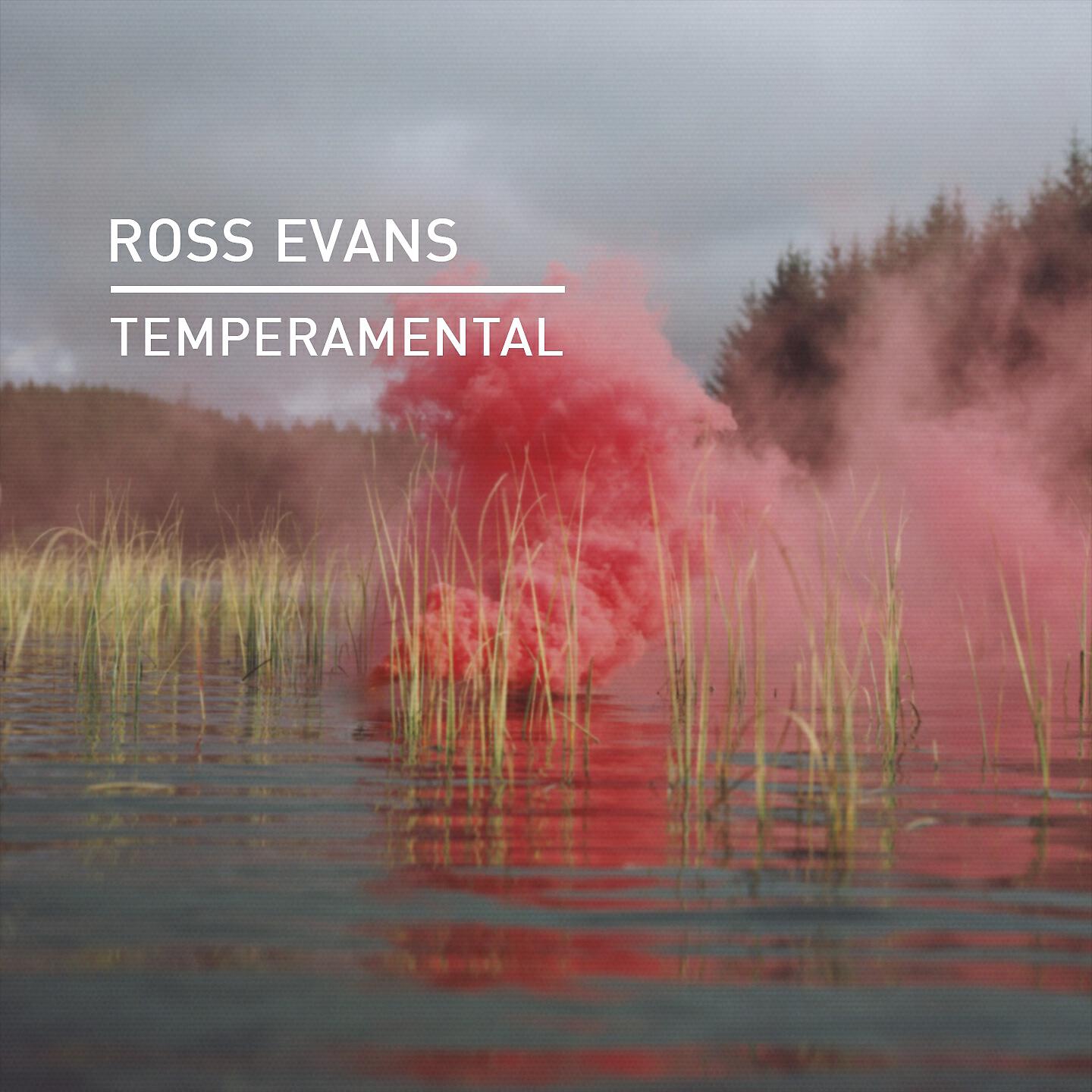 Ross Evans - Temperamental (Vibe Killers Remix)