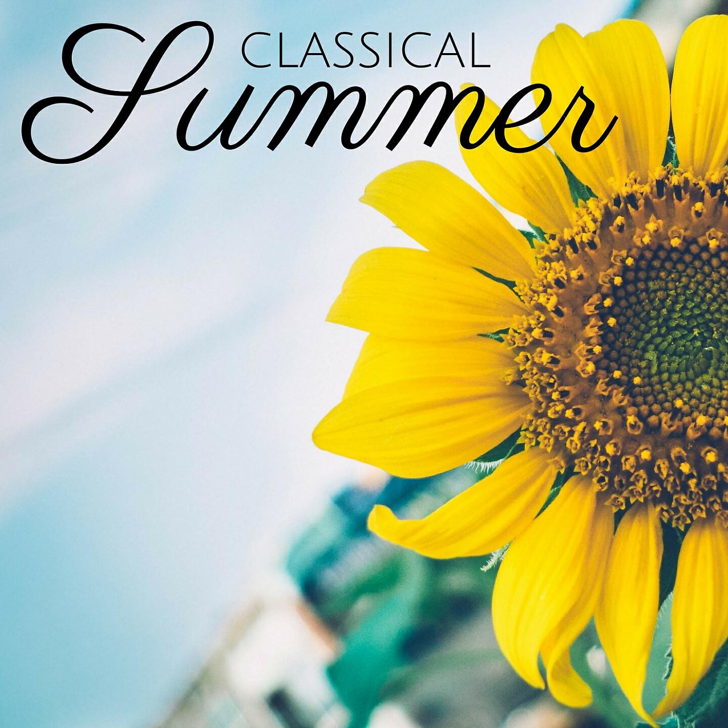 Orchestra da Camera Fiorentina - Divertimento in D Major, K. 251: V. Allegro assai