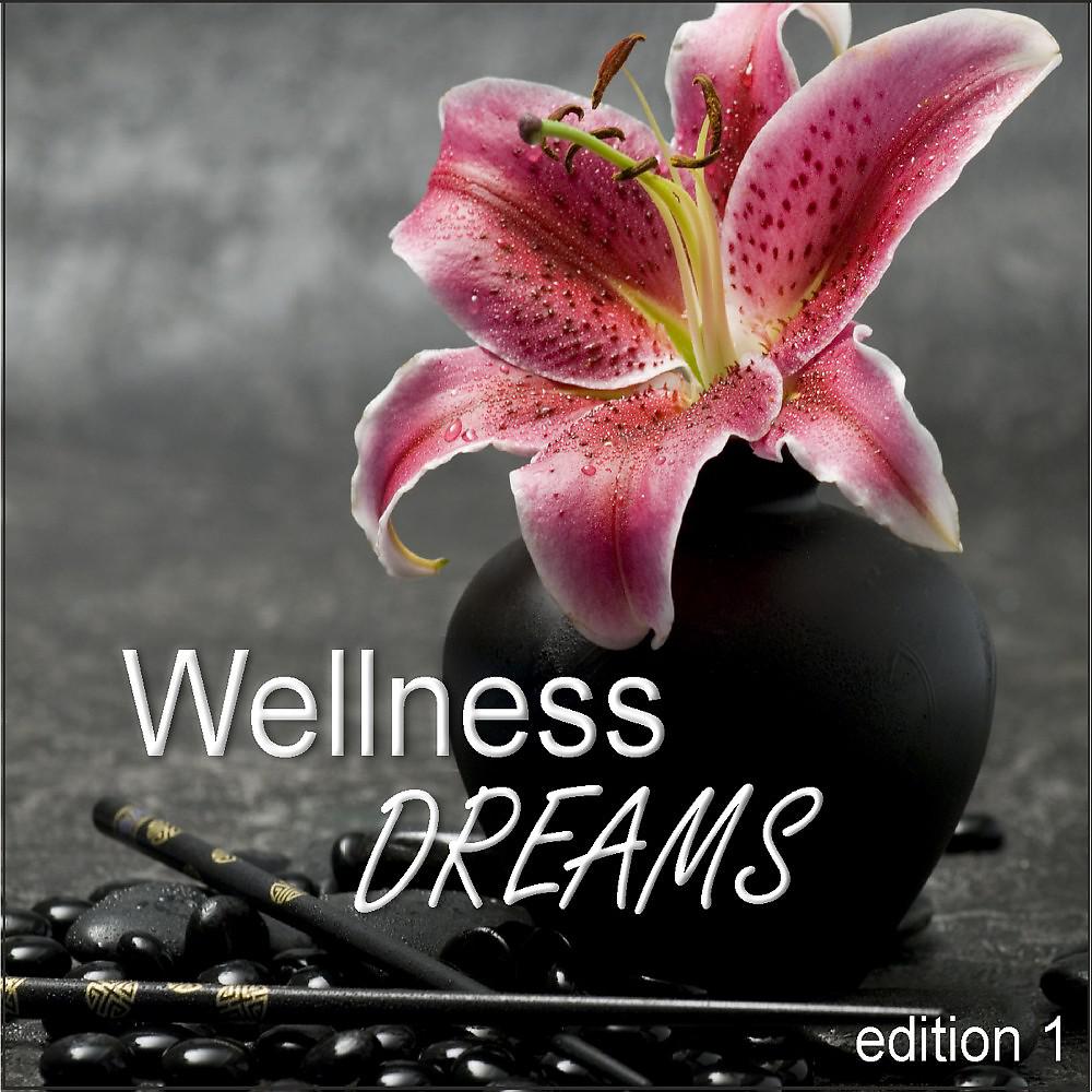 Постер альбома Wellness Dreams (Edition 1)
