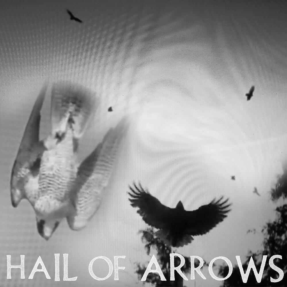 Hail Of Arrows - Forming Alliances Among Animals, Protecting the Land