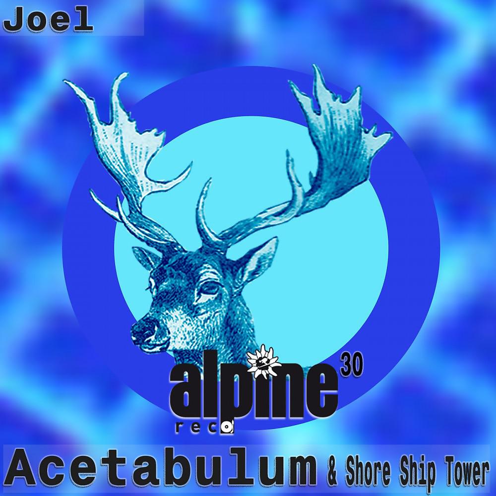 Постер альбома Acetabulum / Shore Ship Tower
