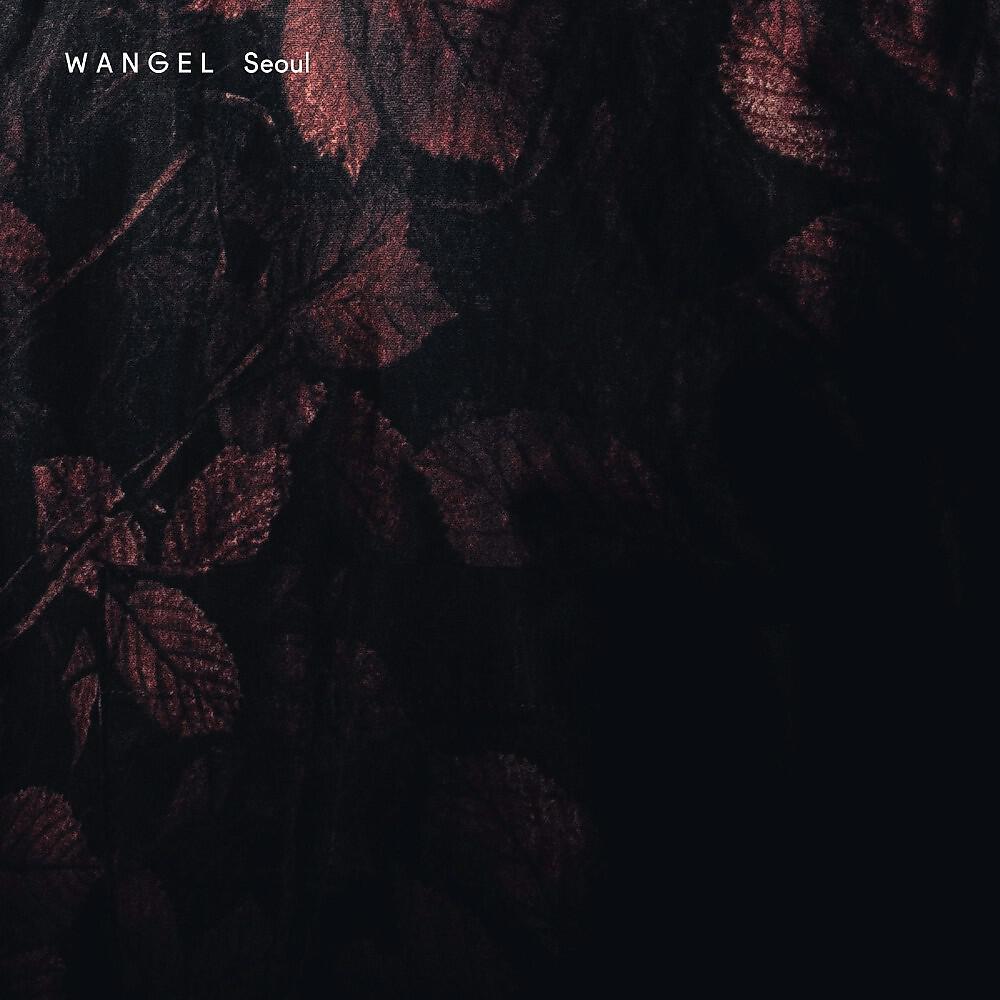 Wangel - Seoul