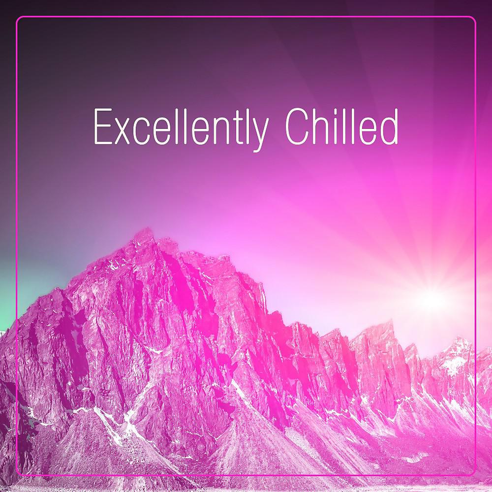 Постер альбома Excellently Chilled
