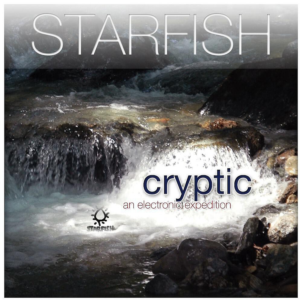 Starfish - Permeable Nummulites