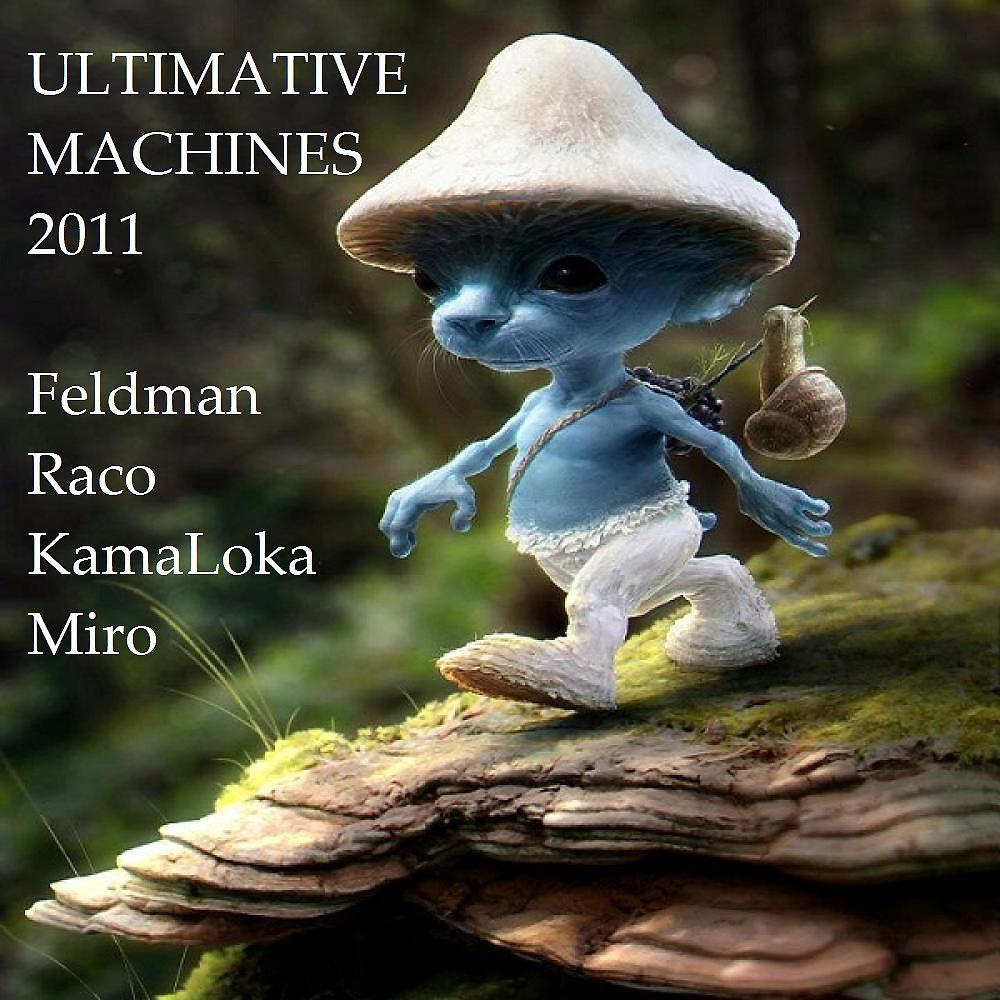 Постер альбома Ultimative Machine 2011