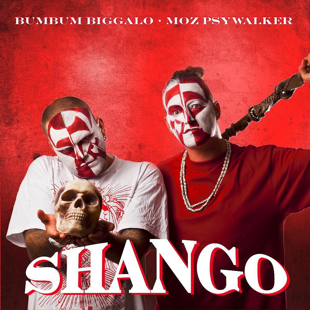 Постер альбома Shango