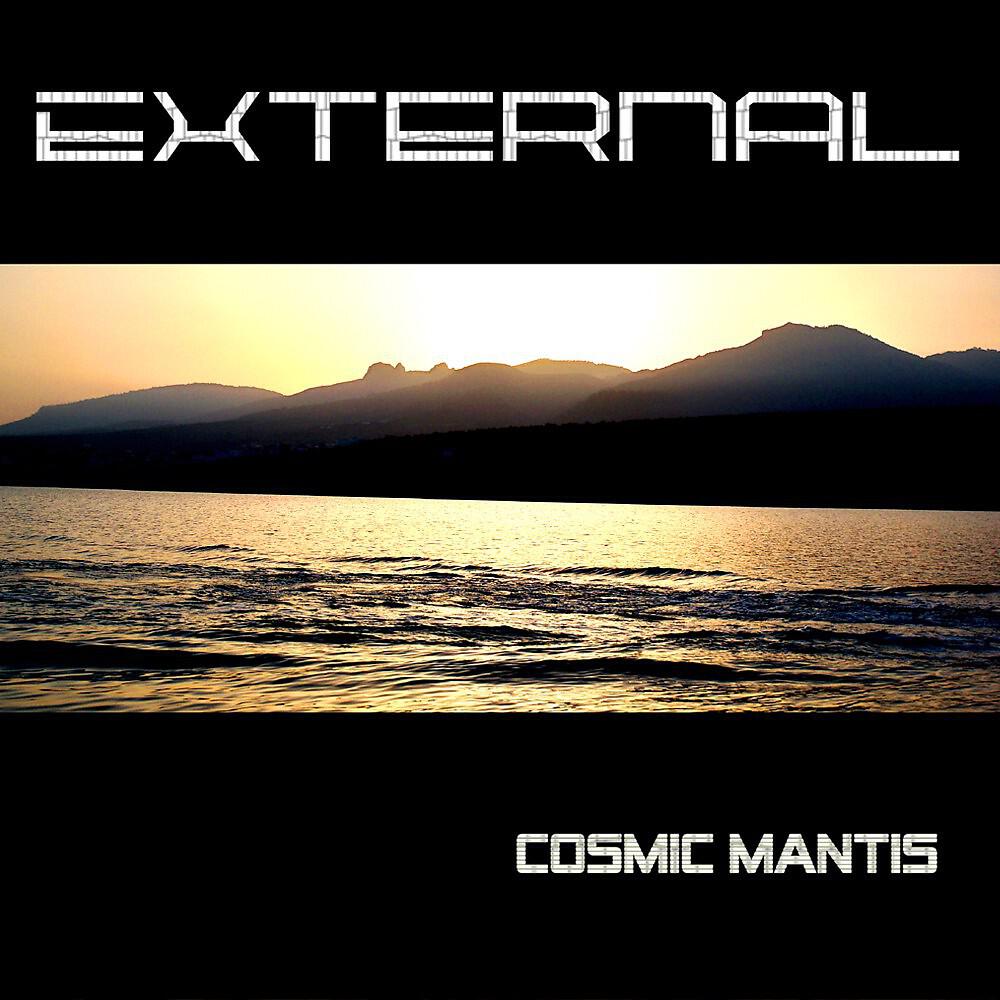 Cosmic Mantis - Medina