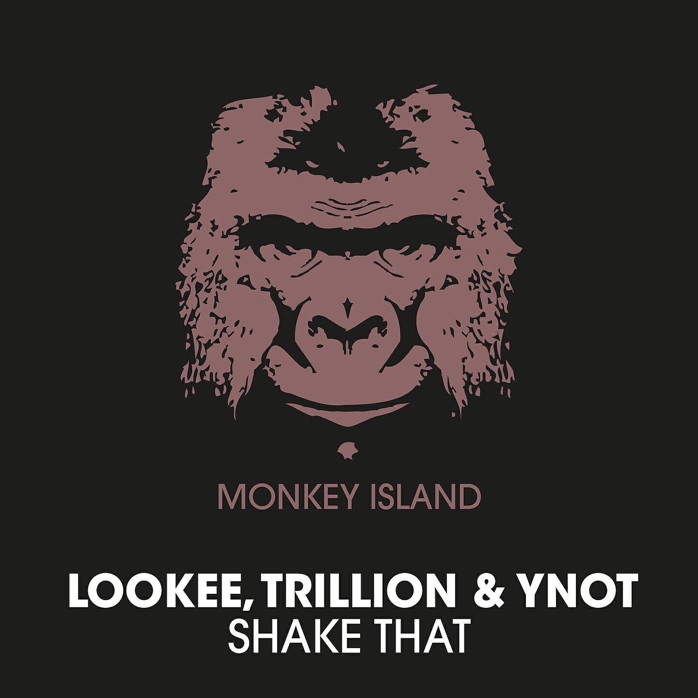 песня shake that shit