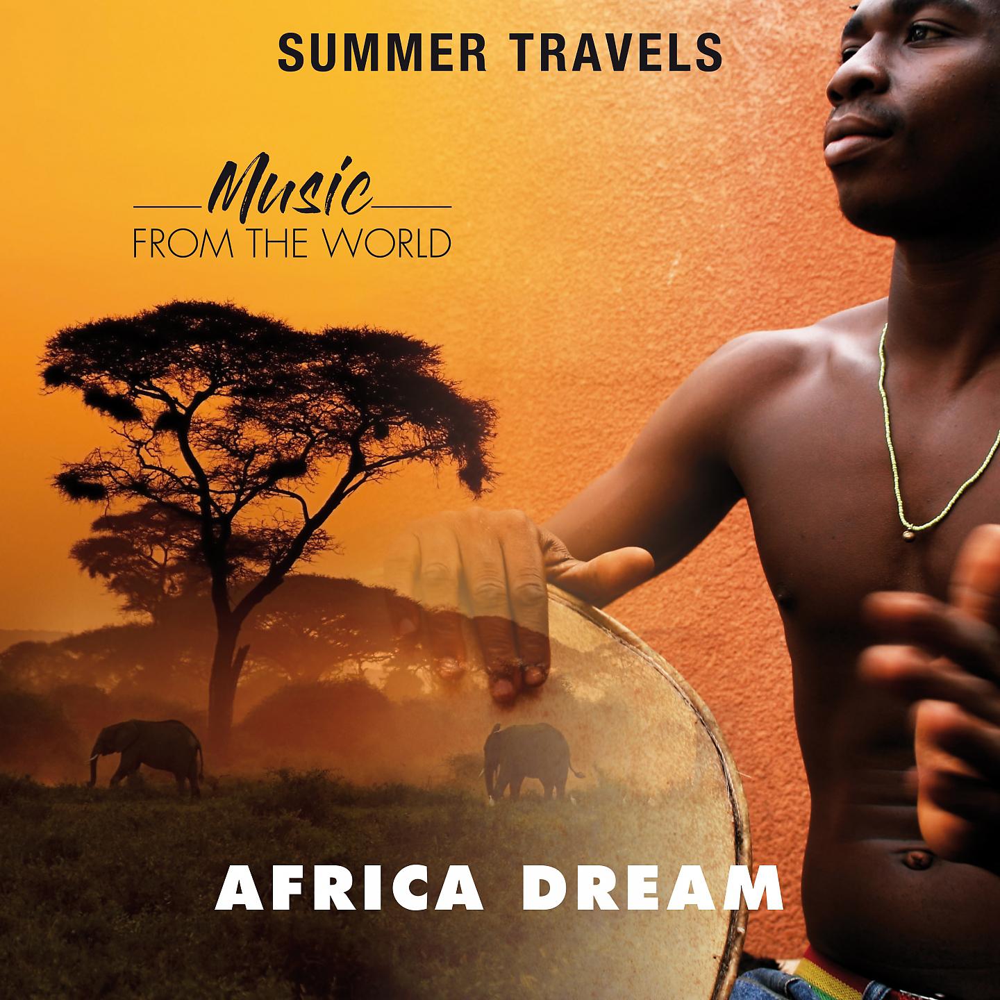 Постер альбома Summer Travels - Music from the World Africa Dream