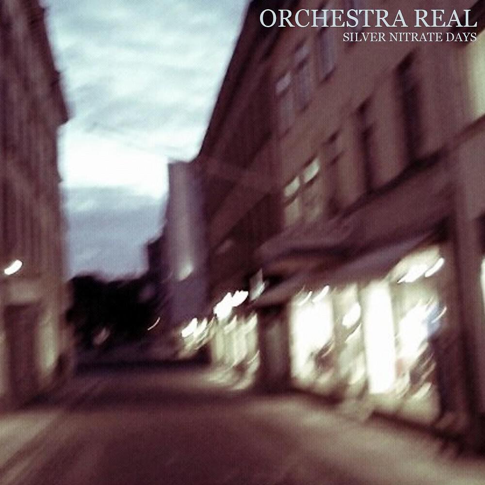 Orchestra Real - Ragdoll