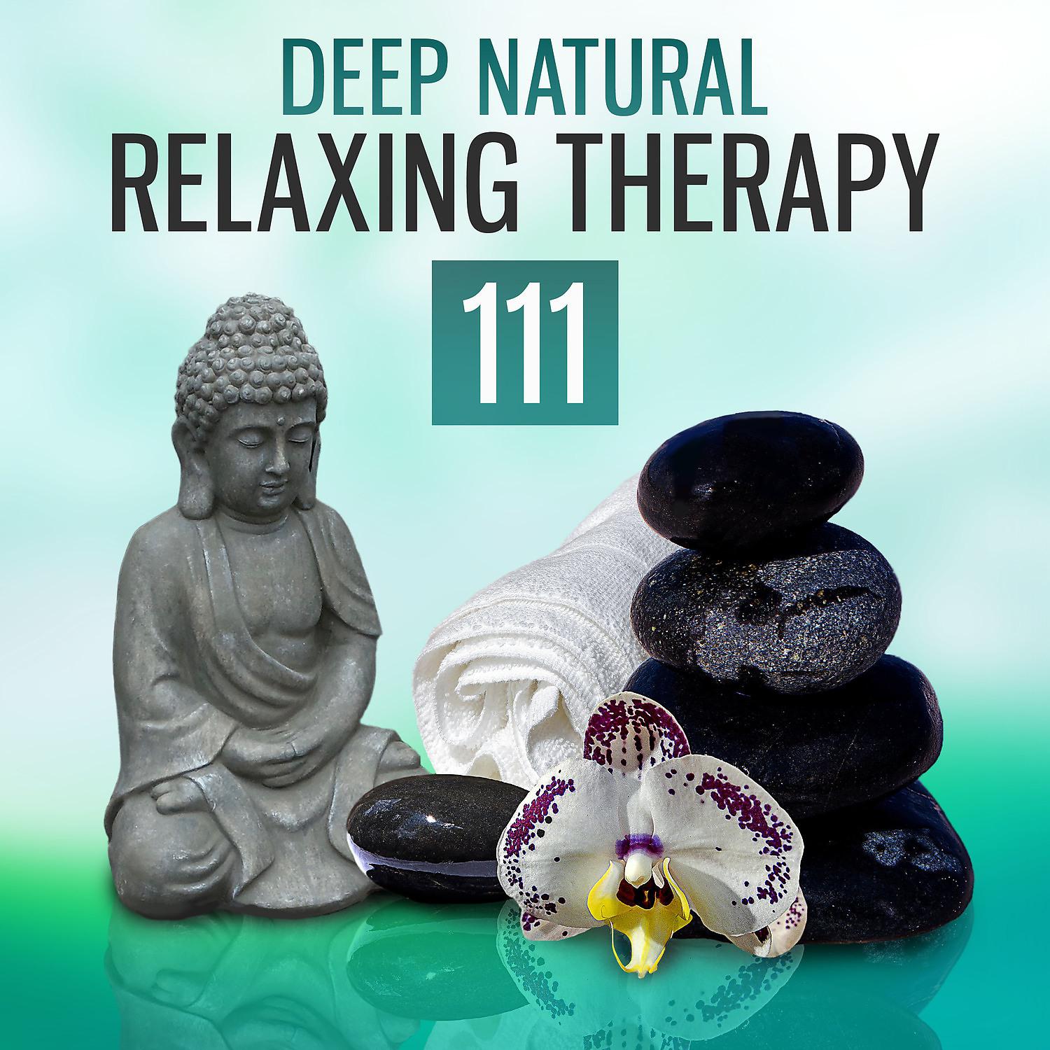 Постер альбома 111 Deep Natural Relaxing Therapy: Healing Sounds for Sleeping Problems, Insomnia Cure, Relaxation Music, Yoga, Spa, Deep Sleep REM Inducing, Calming Nature Sounds