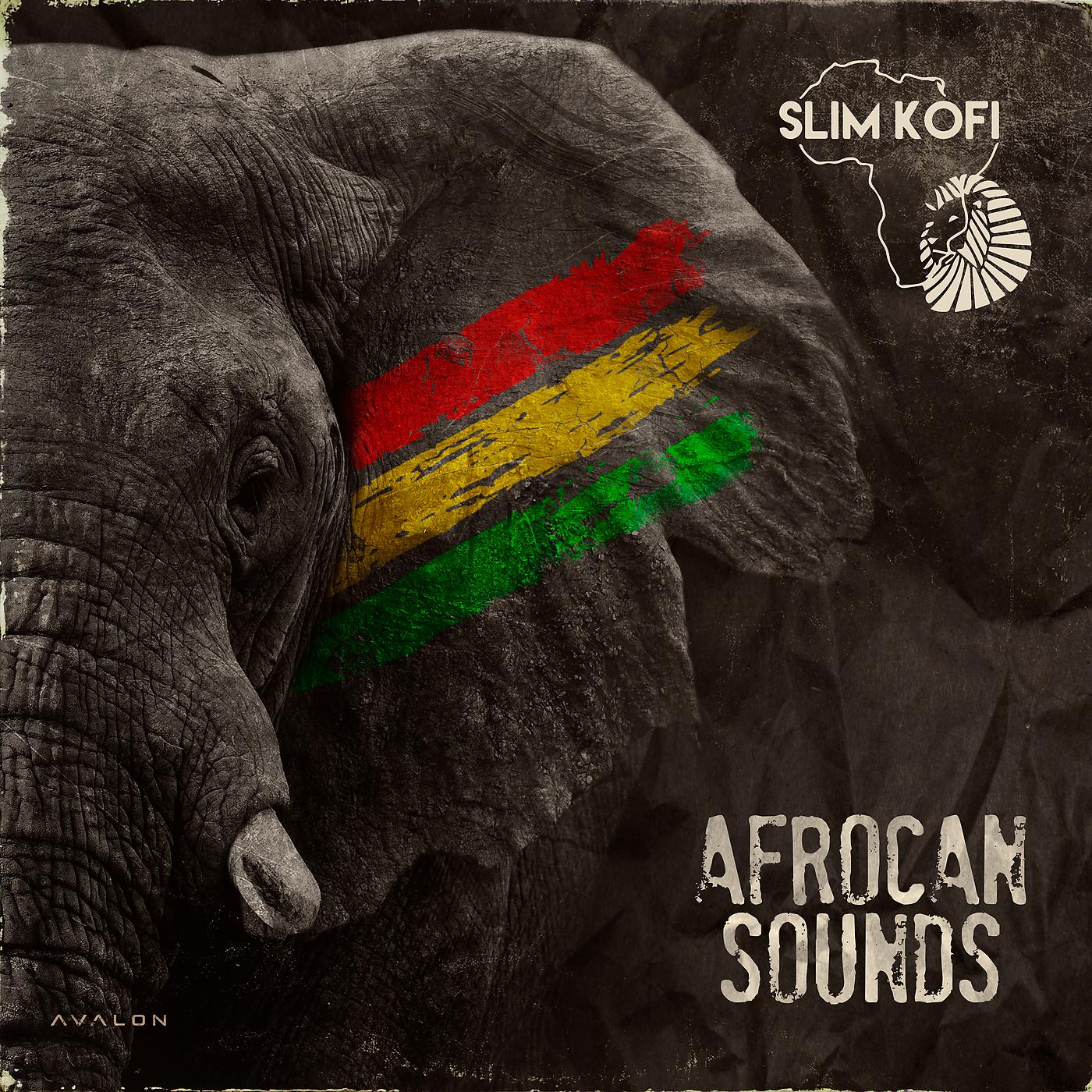 Постер альбома Afrocan Sounds