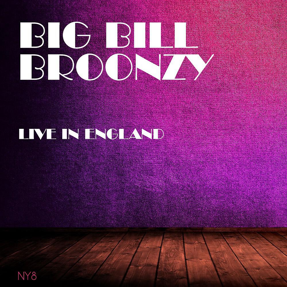 Big Bill Broonzy - Willie Mae (Live in England) [Original Mix]