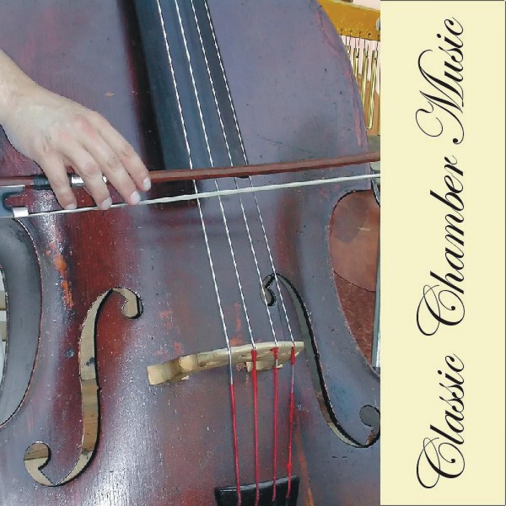 Постер альбома Classic Chamber Music