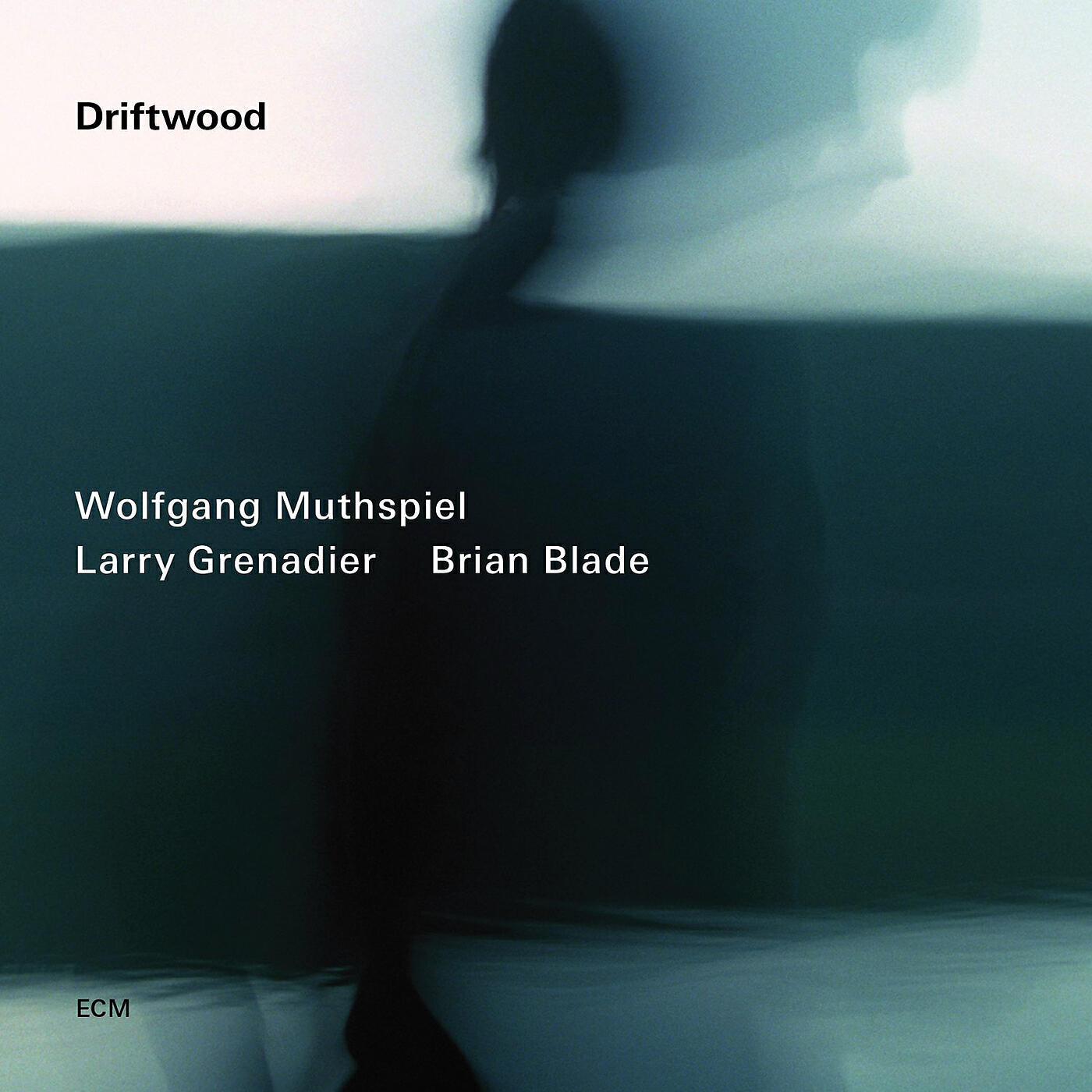 Wolfgang Muthspiel - Bossa For Michael Brecker