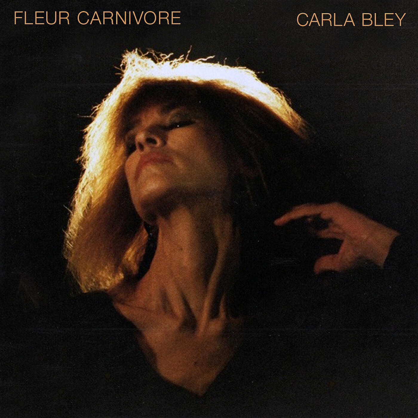 Carla Bley - Ups And Downs