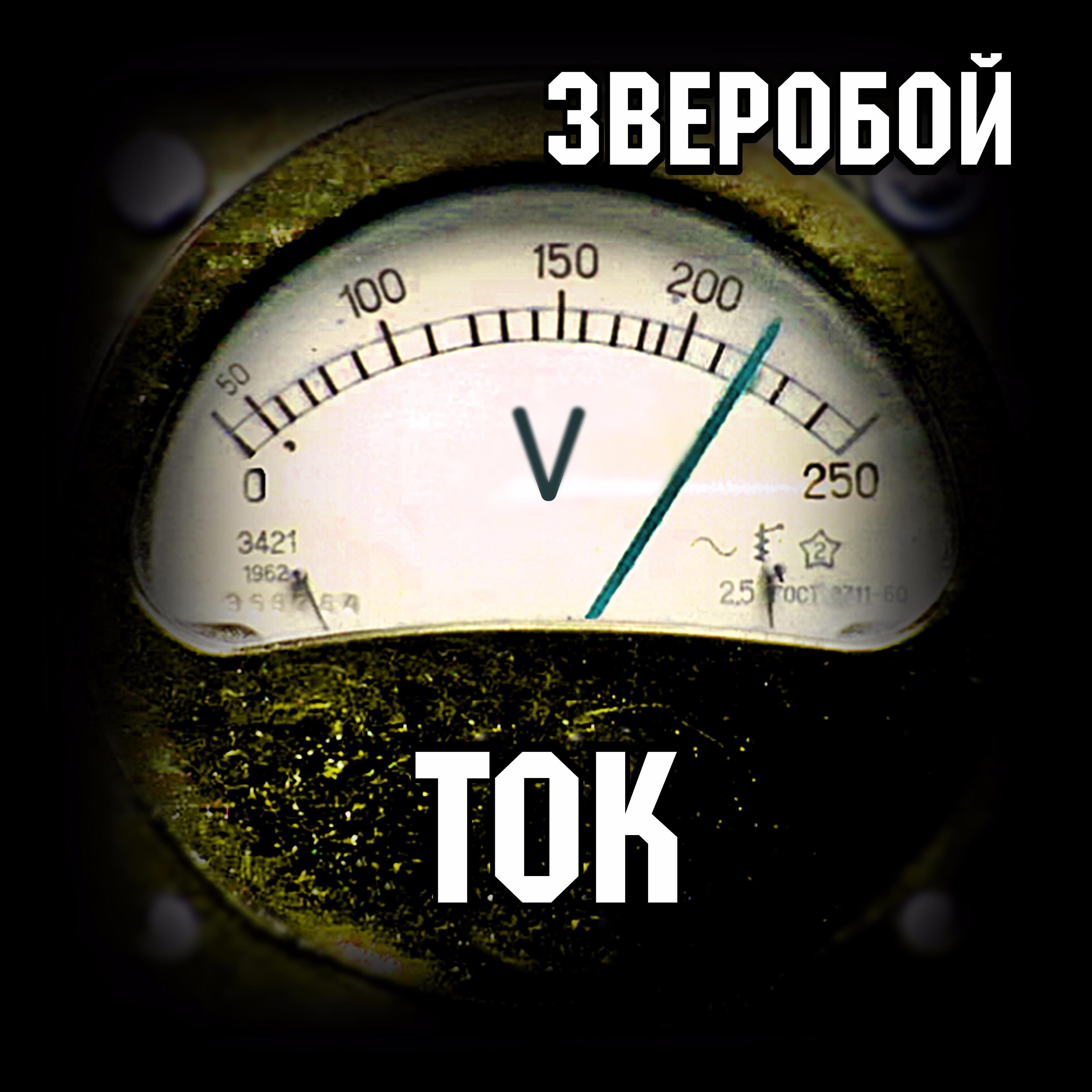 Зверобой - Пластмассовый рок