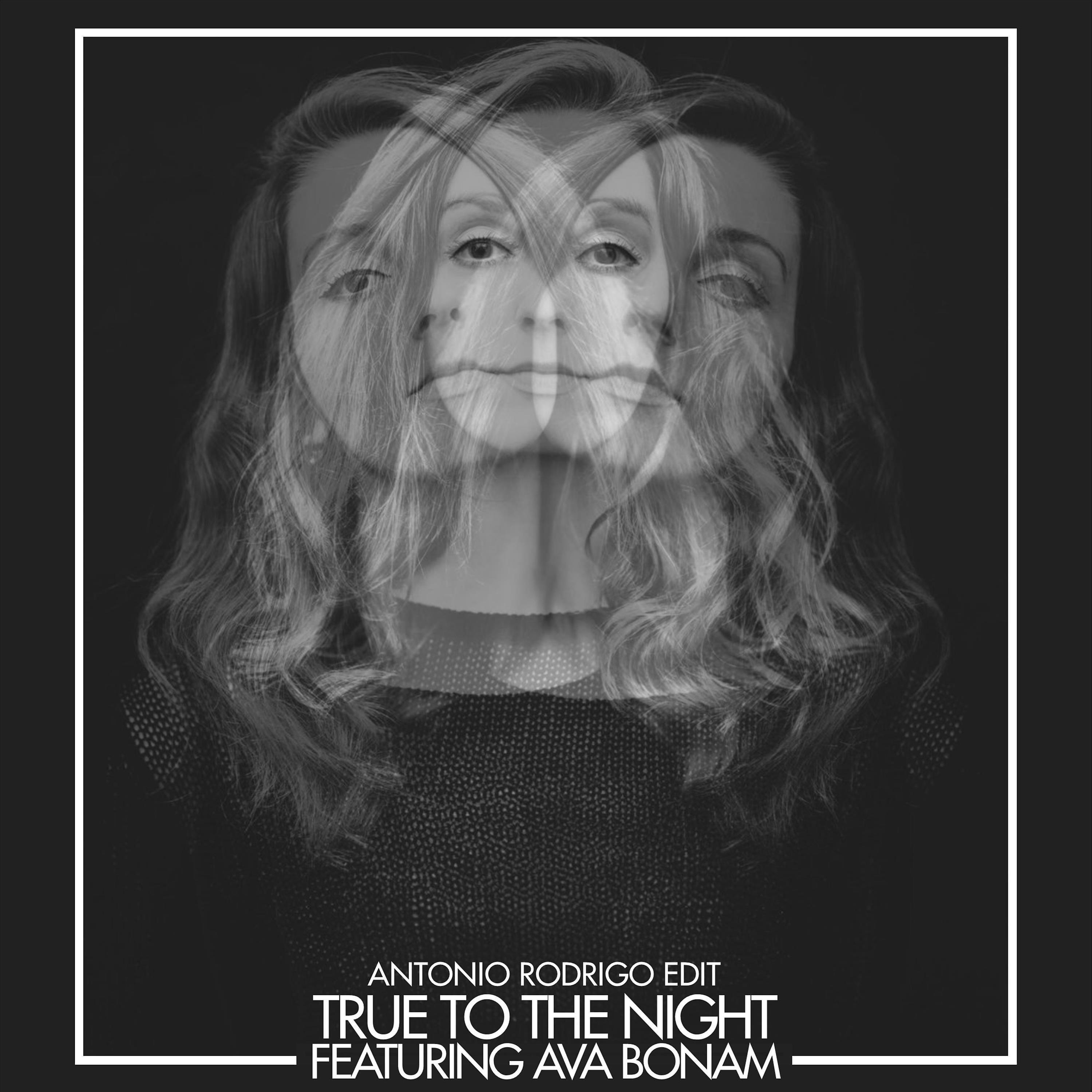 Постер альбома True to the Night (feat. Ava Bonam)