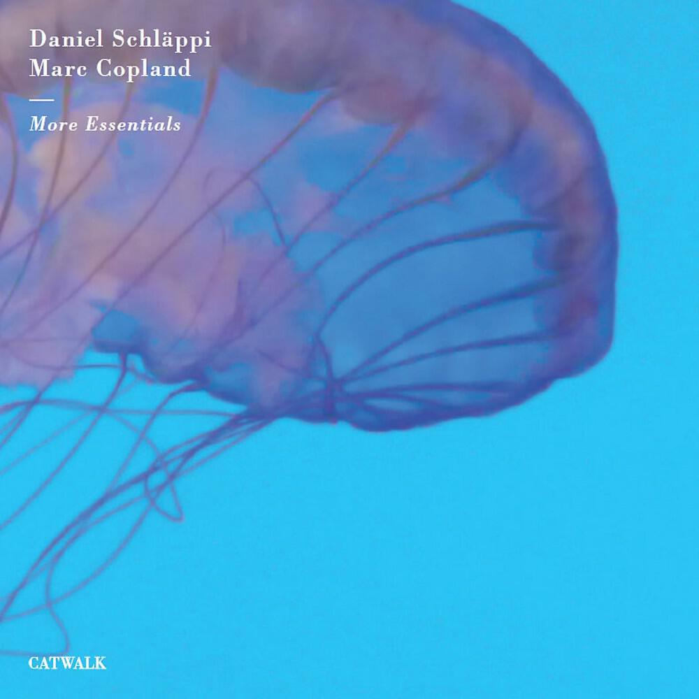 Daniel Schläppi & Marc Copland - My Little Suede Shoes