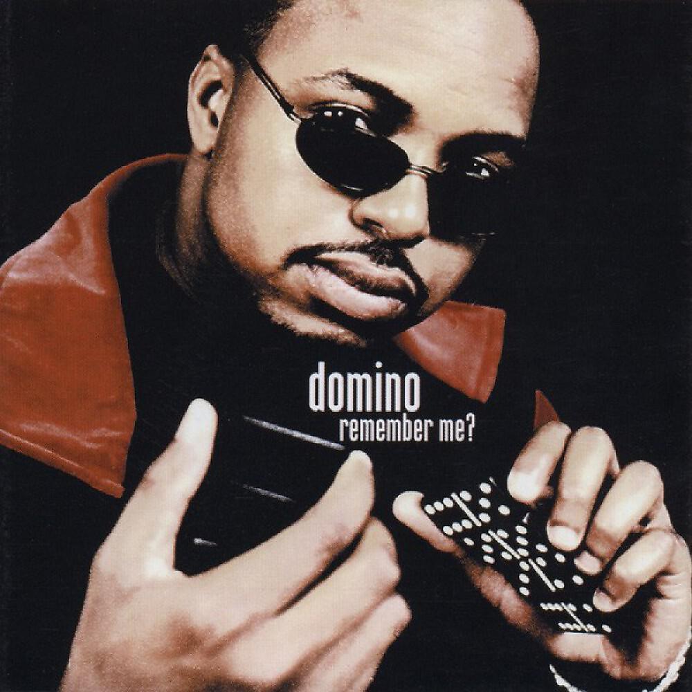 DOMINO - Chocolate Chip