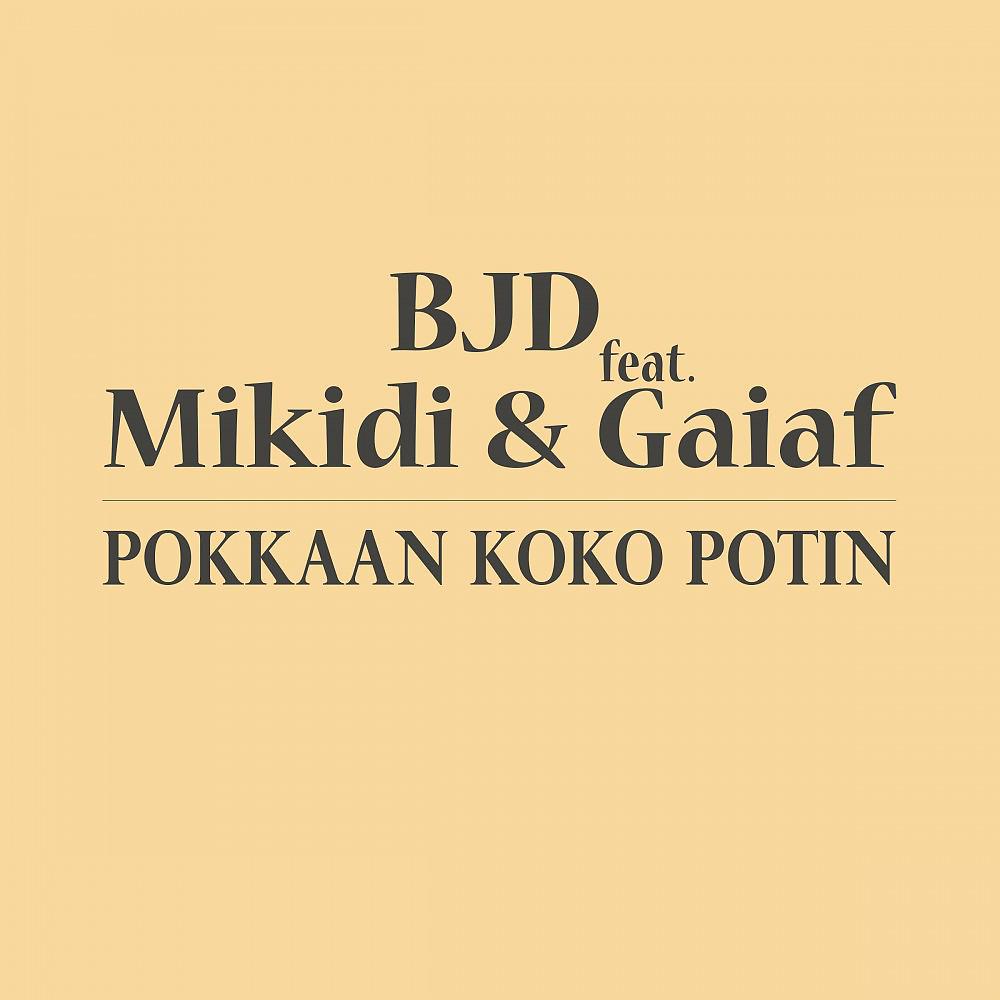 Постер альбома Pokkaan Koko Potin
