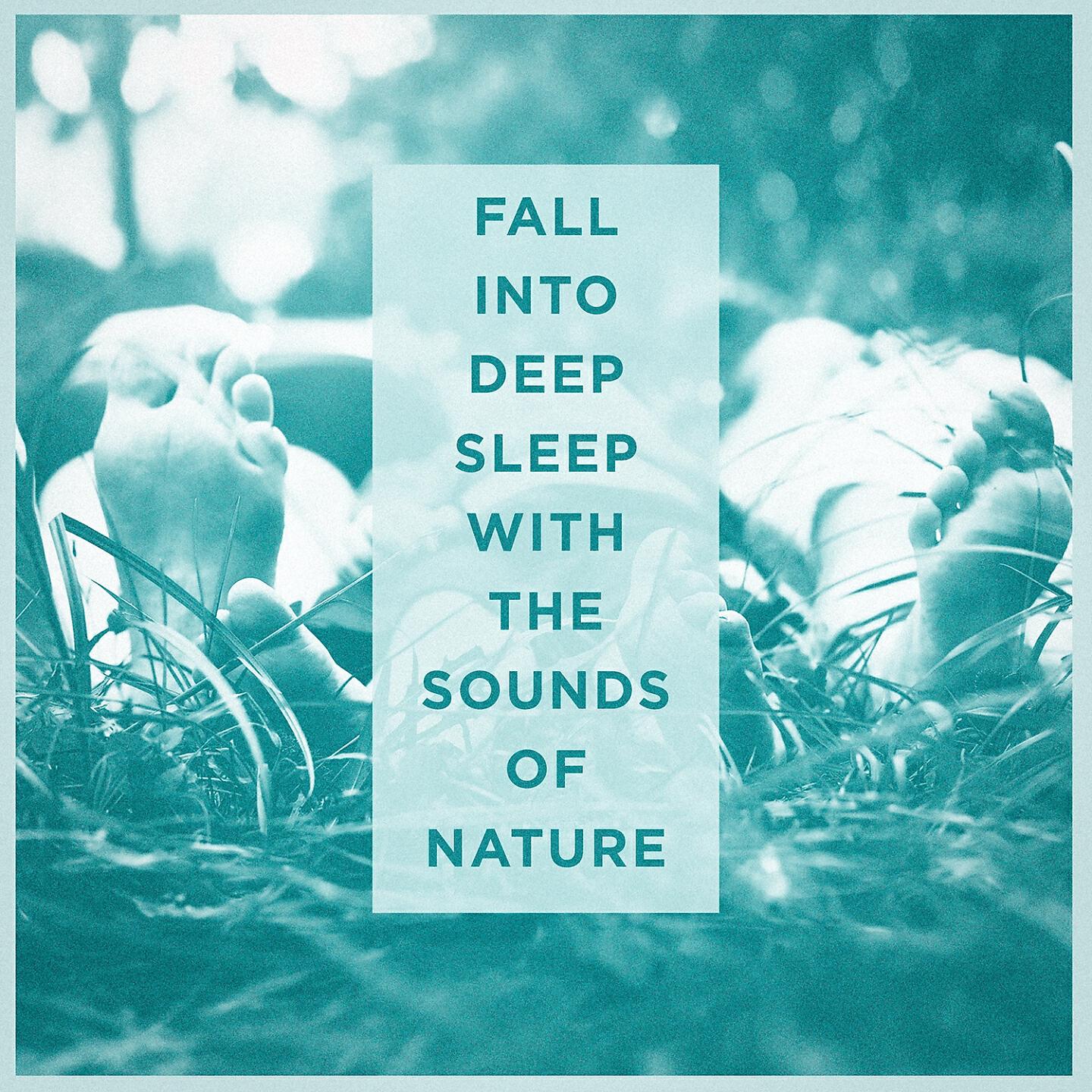 Michael Hamilton - Sounds from a Grove: Spring, Winds and the Blackbird