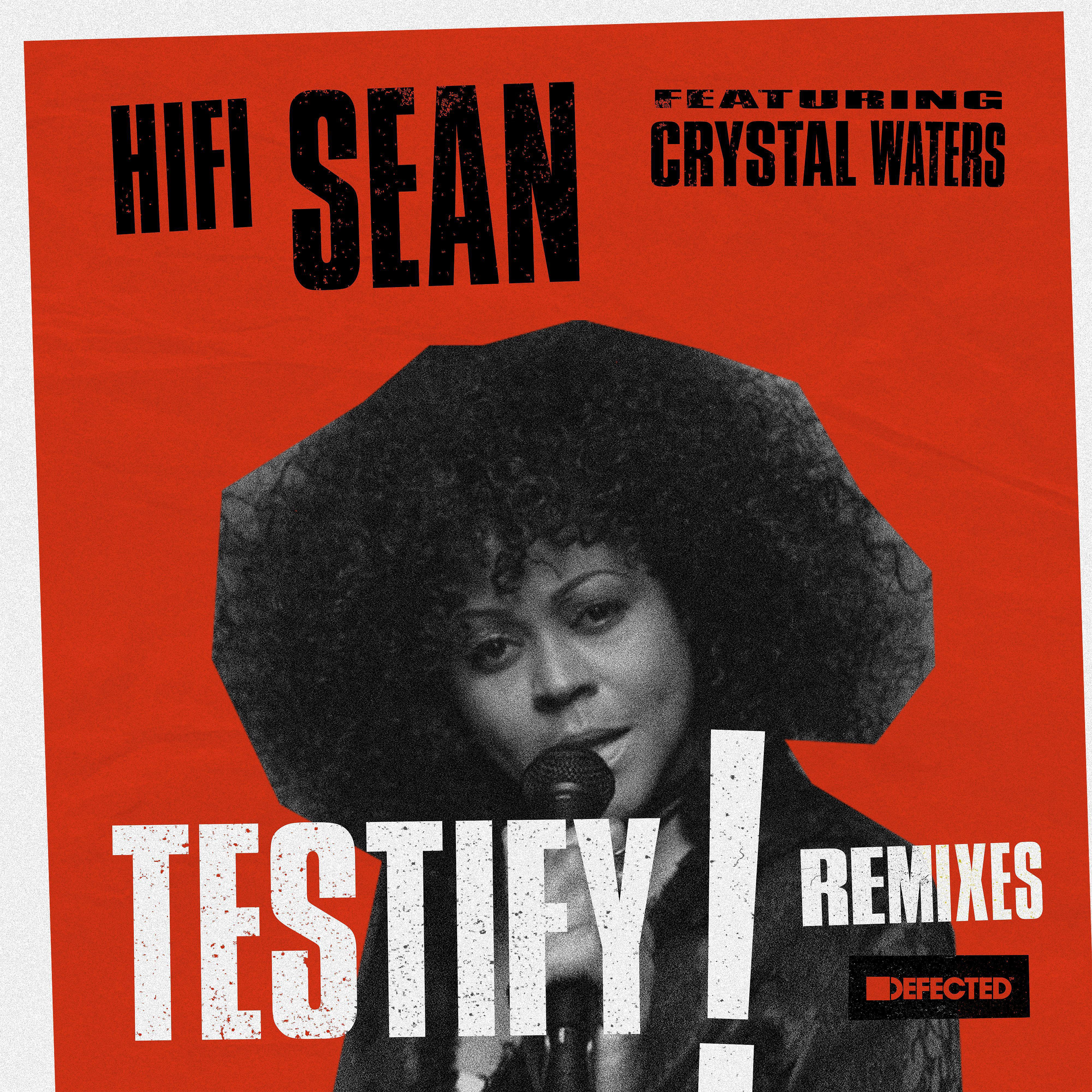 Постер альбома Testify (feat. Crystal Waters) [Remixes]
