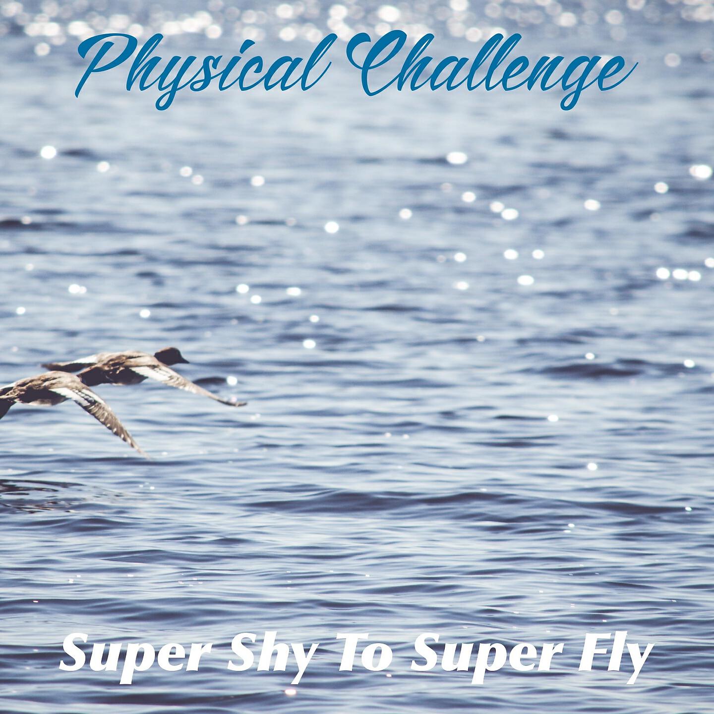 Super Shy To Super Fly - The Locksmith