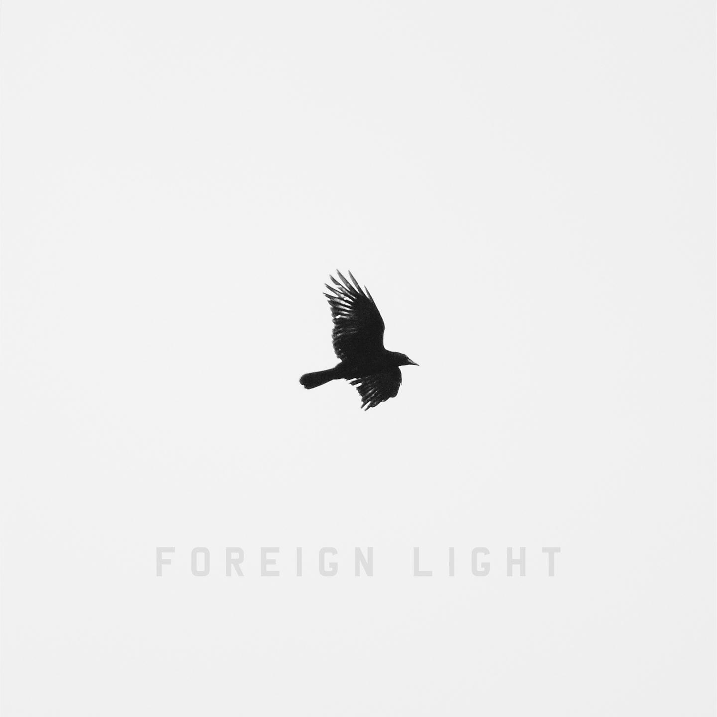Постер альбома Foreign Light