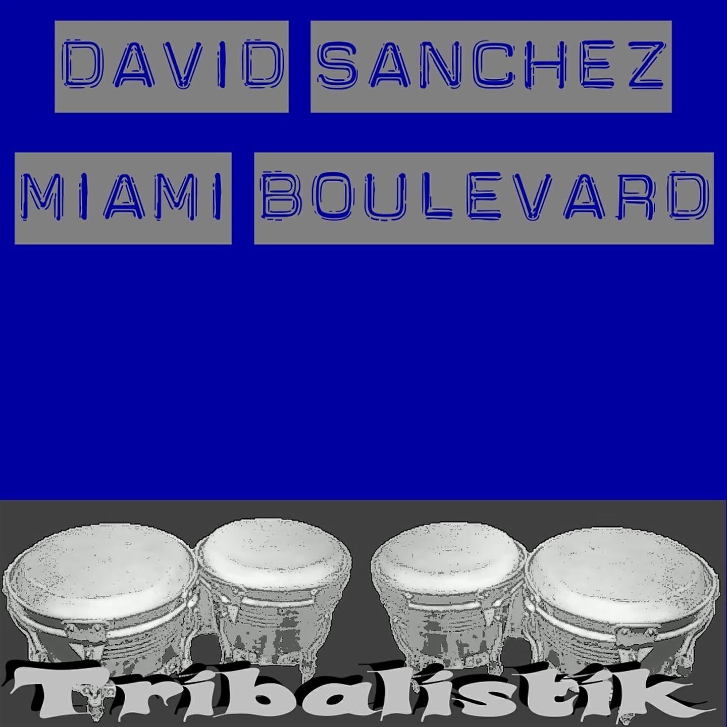David Sanchez - Miami Boulevard (Day)