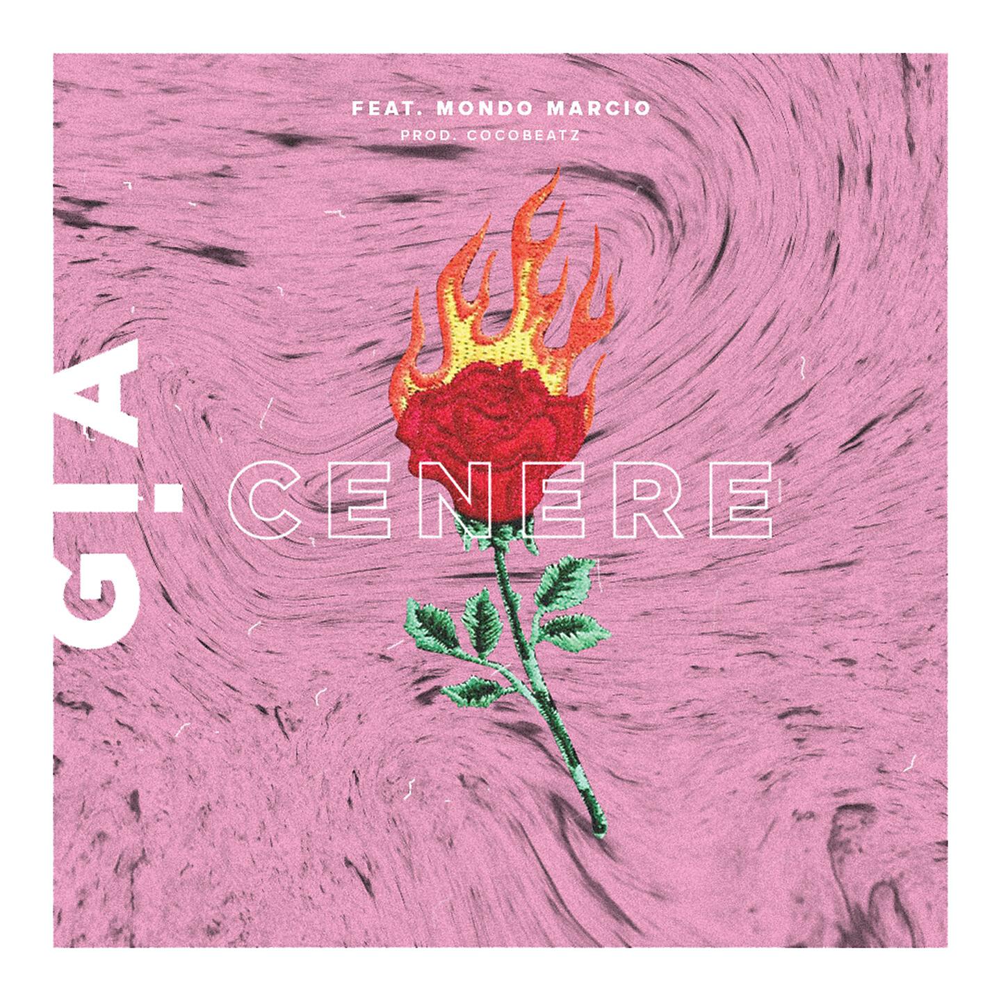 GIA - Cenere