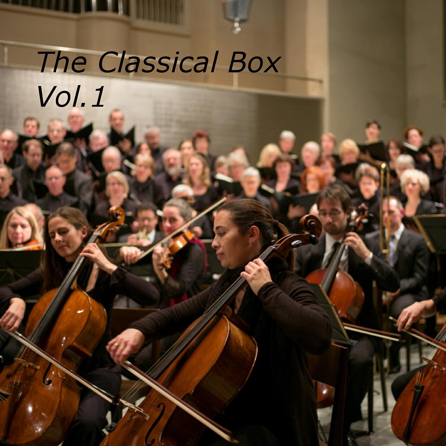 Zilina Chamber Orchestra - Elegie, from Cello and Orchestra